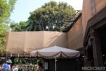 Photo_0297-Disneyland