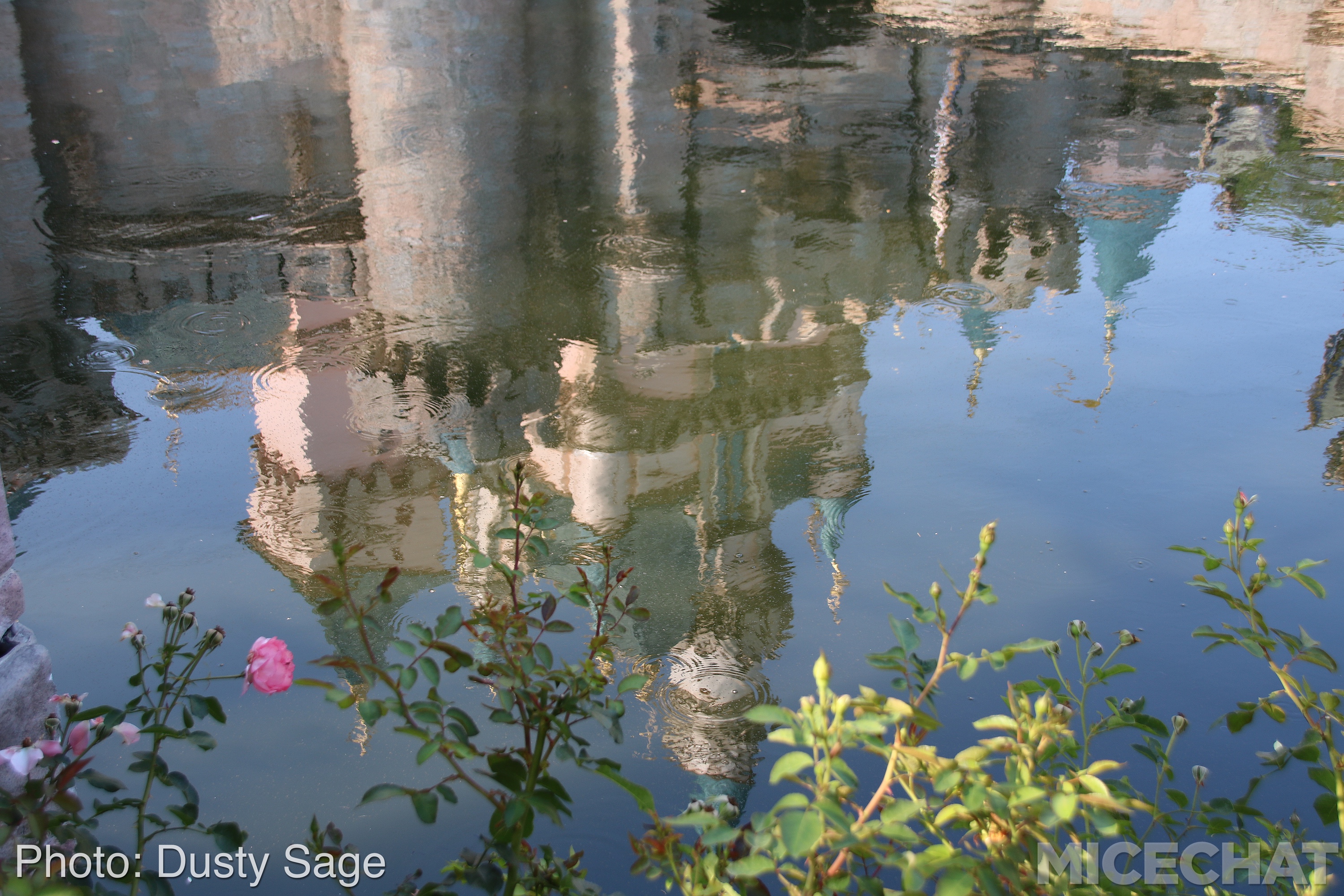 , Disneyland Update – Star Wars, Tiki & Castle Crumbles