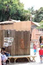Photo_9301-Disneyland