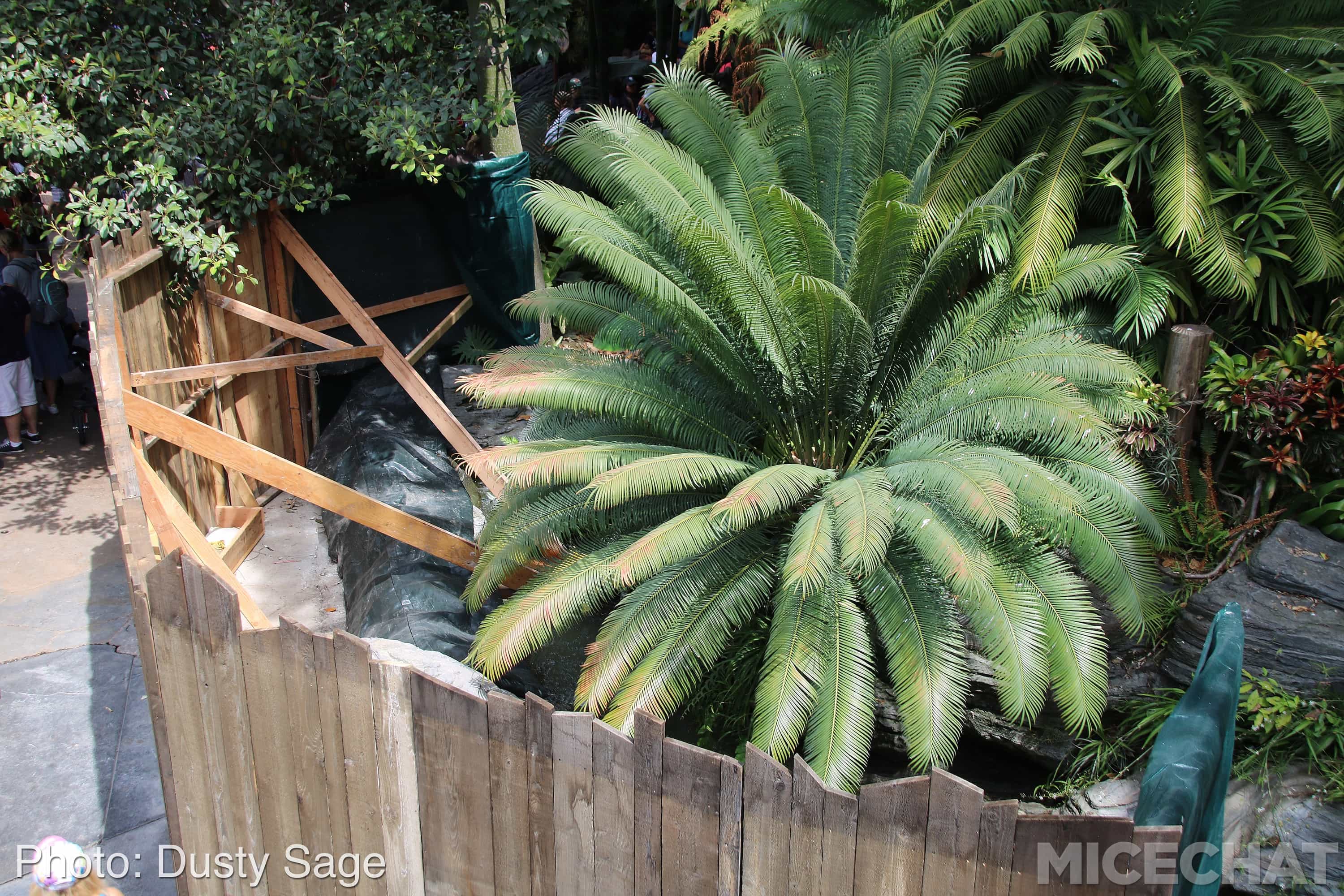 , Disneyland Update: Imaginary Friends and New Magic