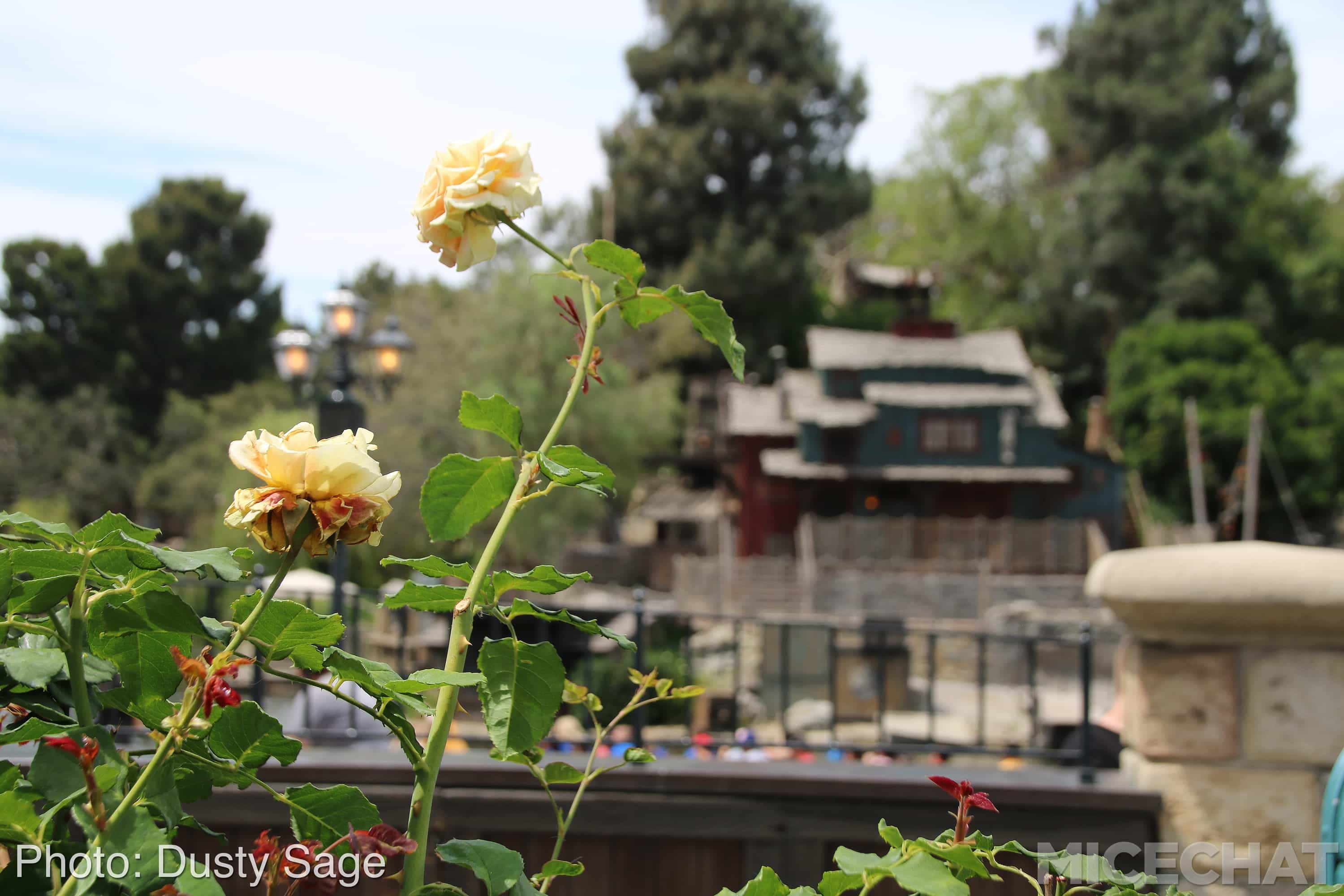 , Disneyland Update: Imaginary Friends and New Magic