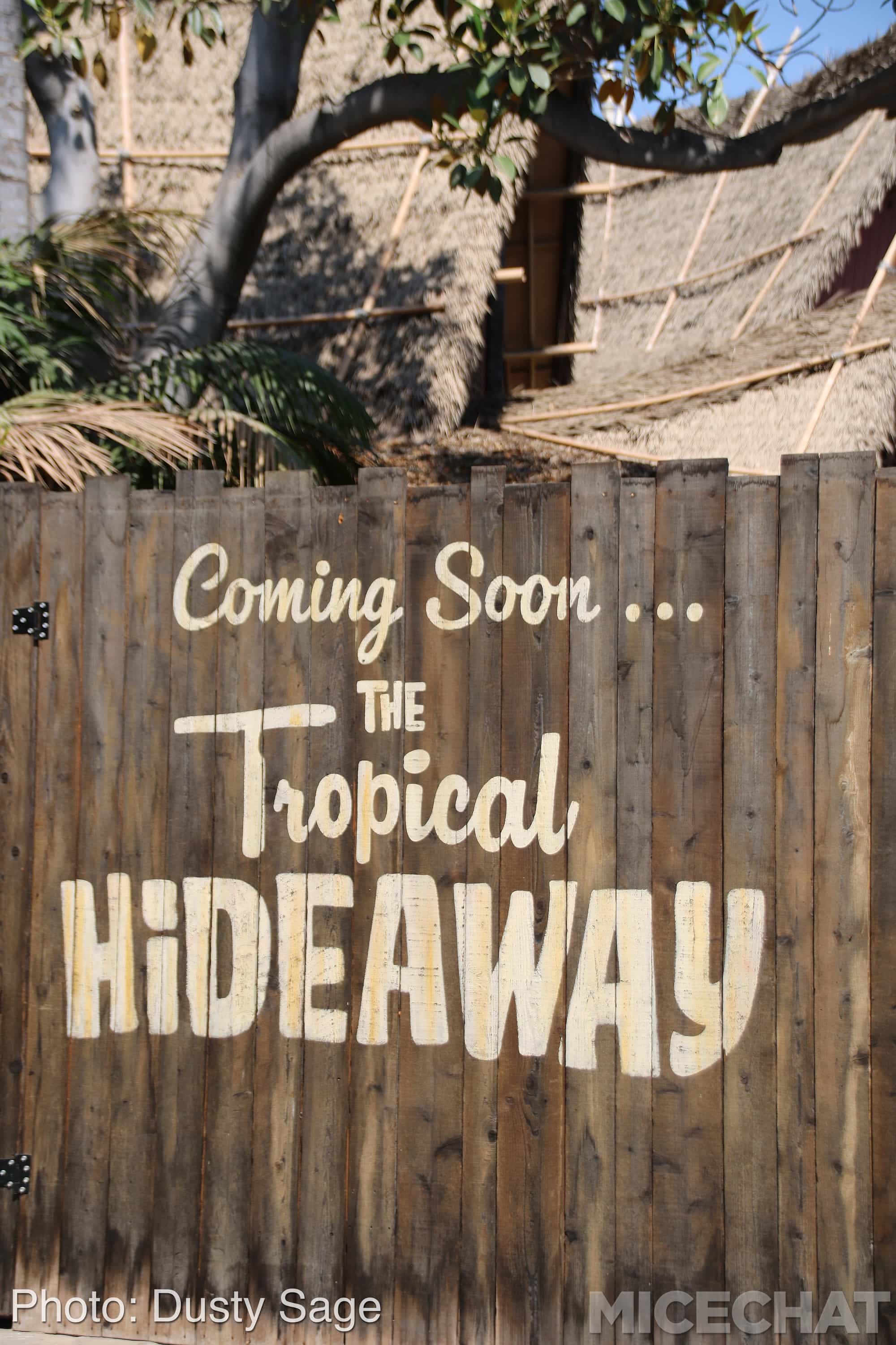 , Disneyland Update – The Last Straw