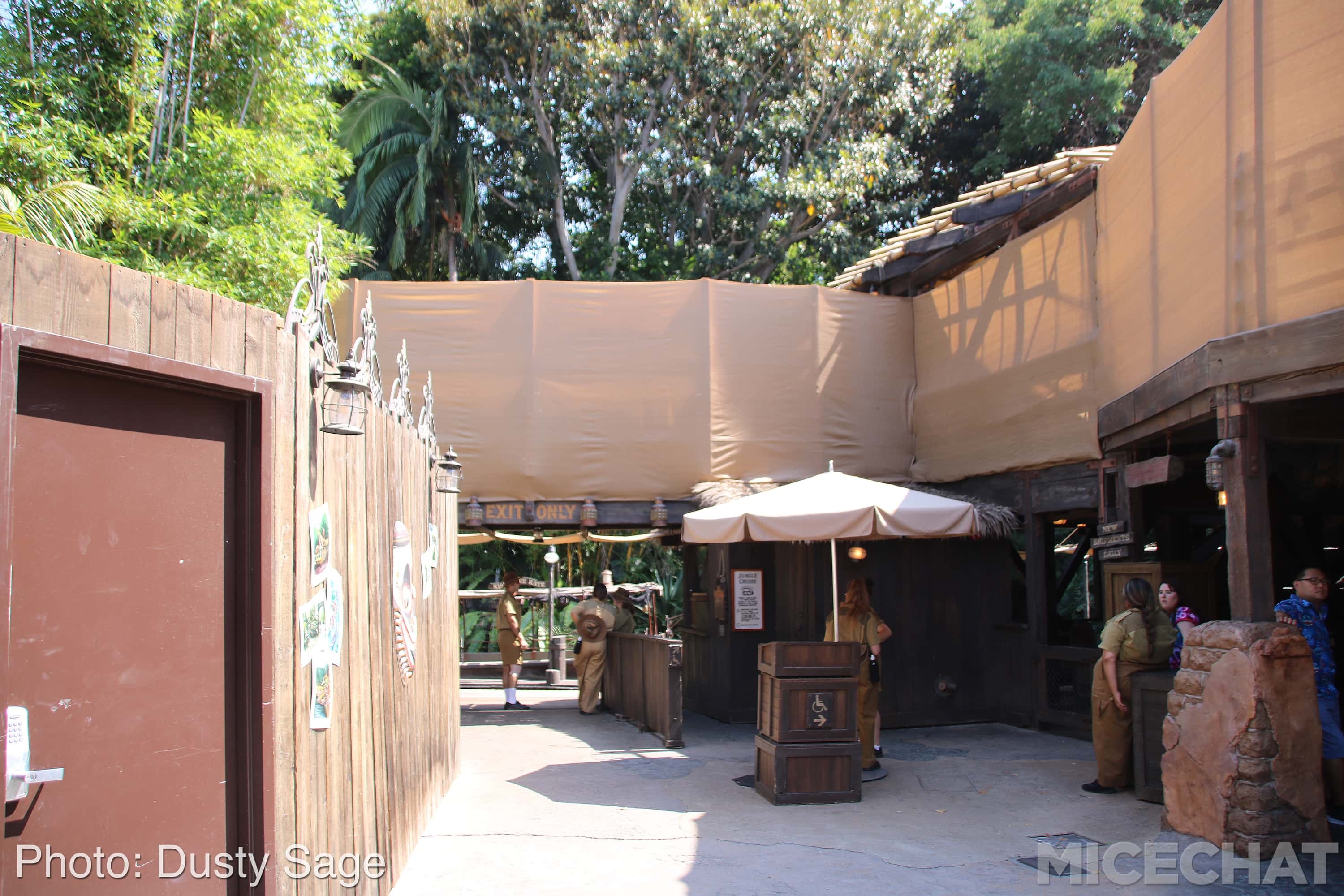 , Disneyland Update – The Last Straw