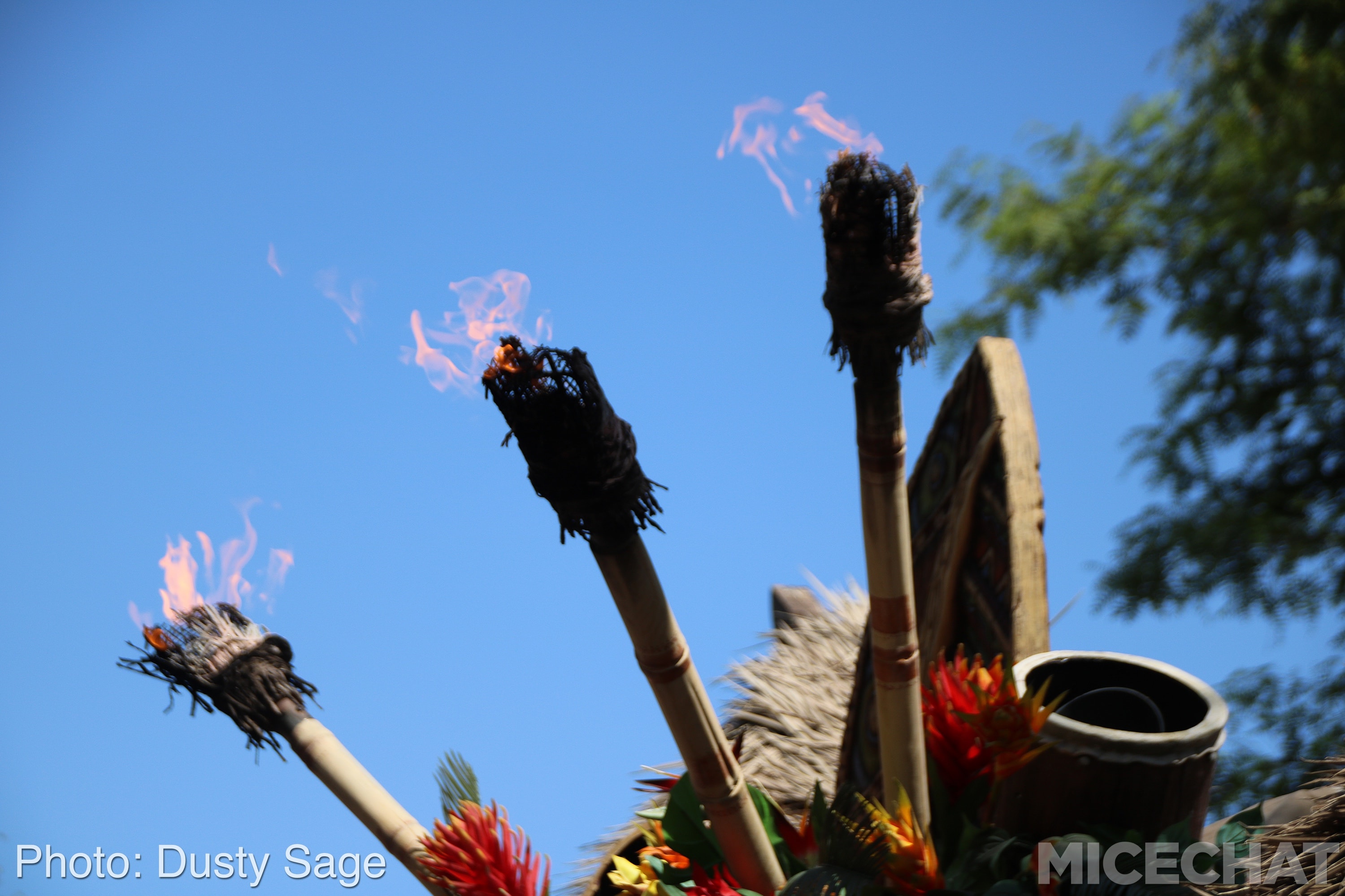 , Disneyland Update – The Last Straw