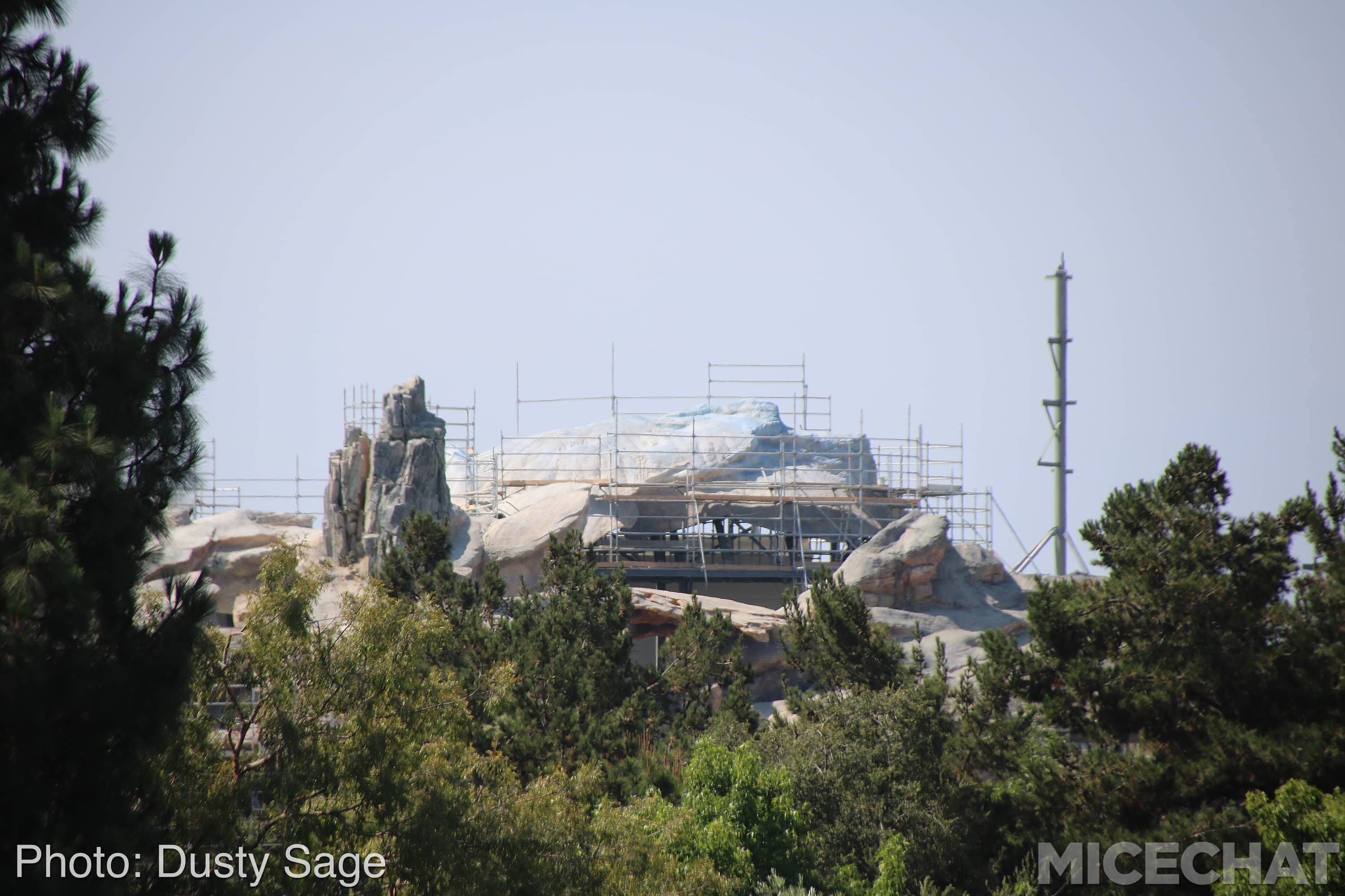 , Disneyland Update – The Last Straw