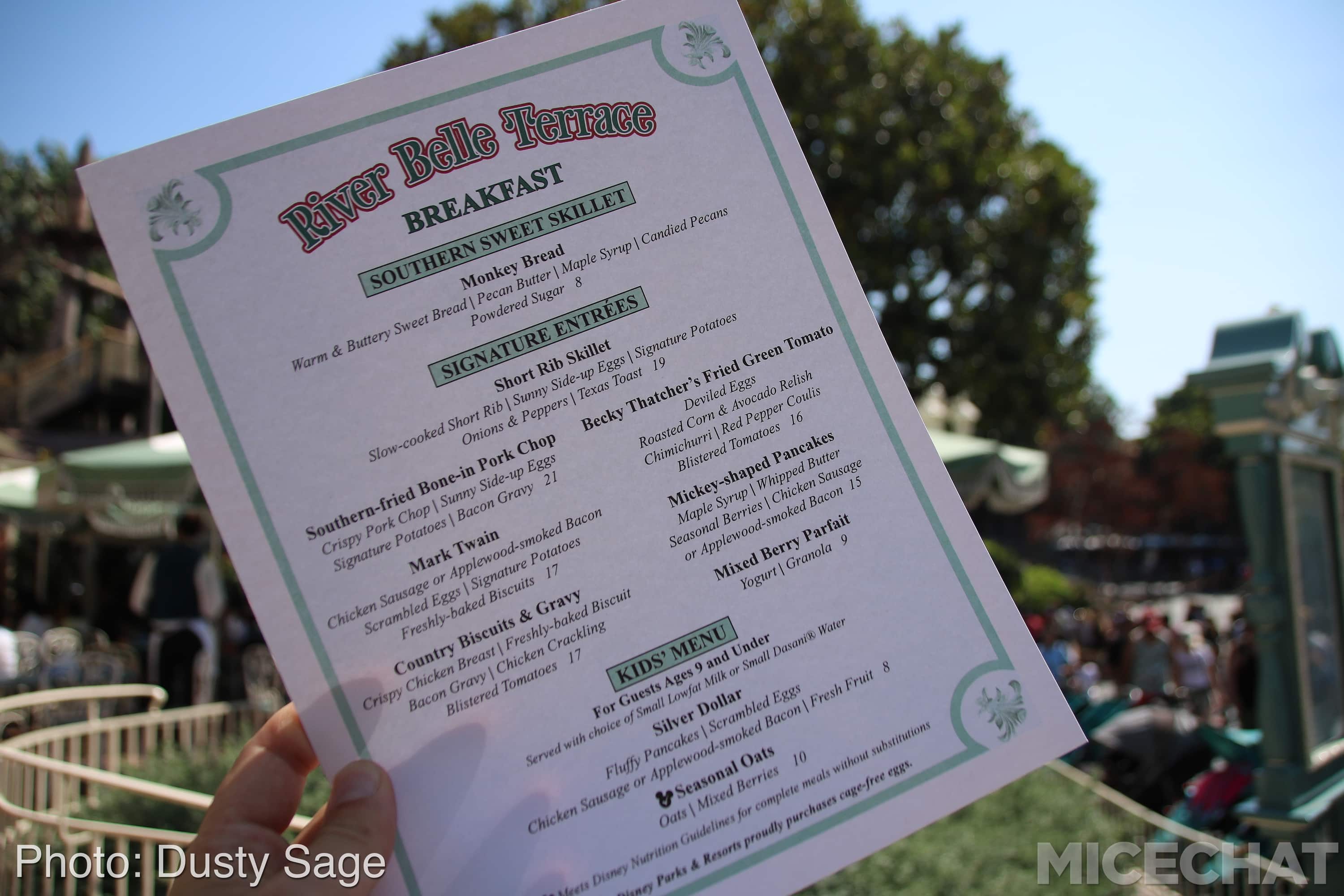 , Disneyland Update – The Last Straw