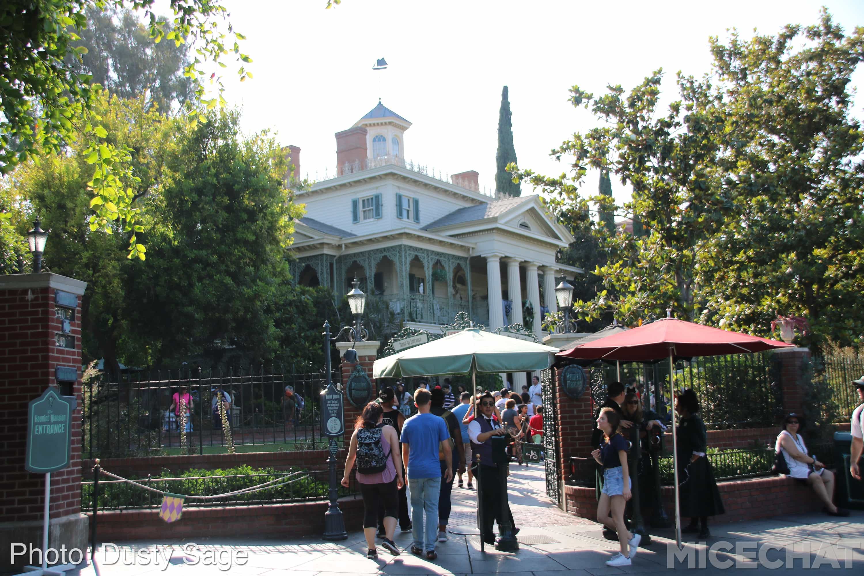 , Disneyland Update – The Last Straw