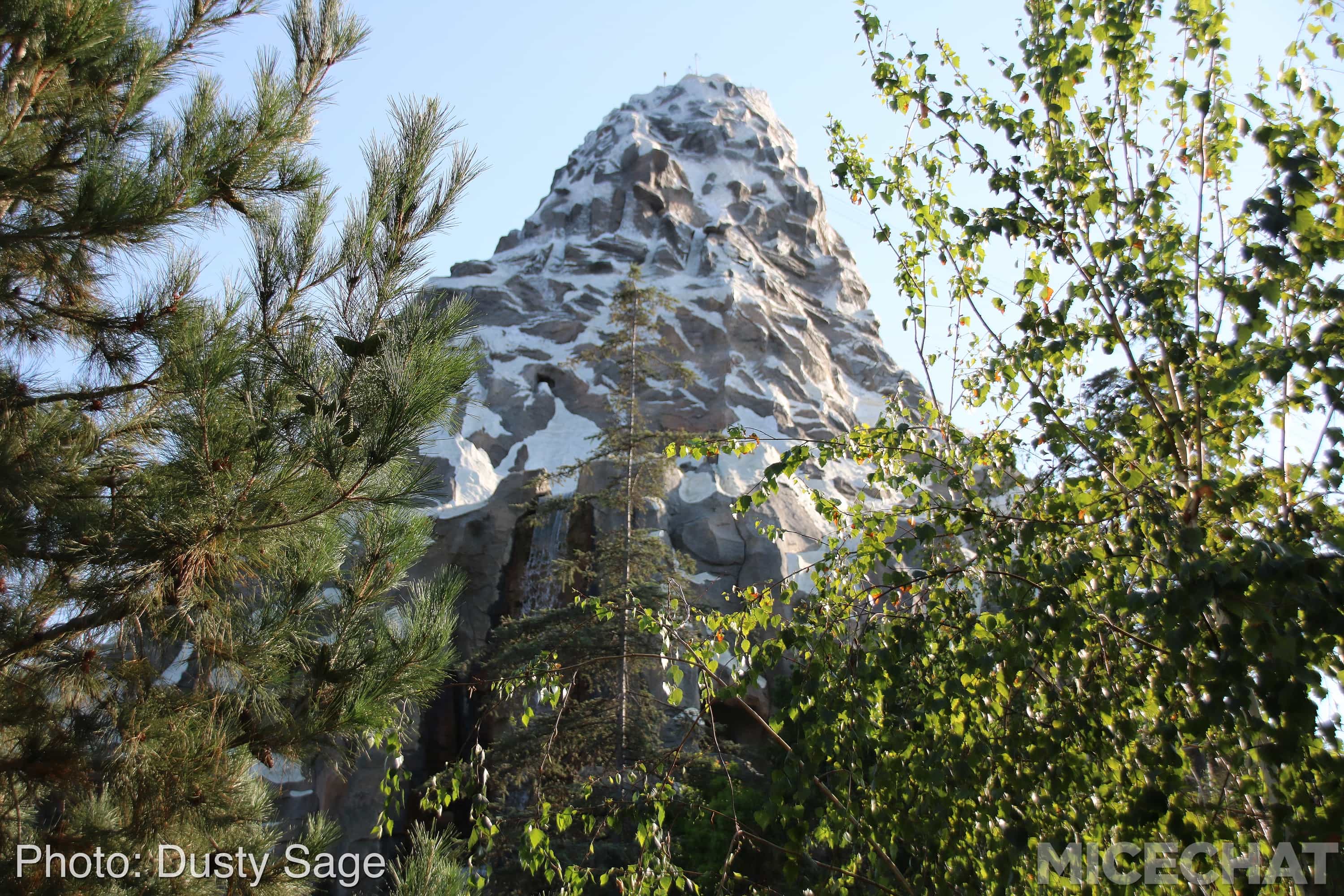 , Disneyland Update – The Last Straw