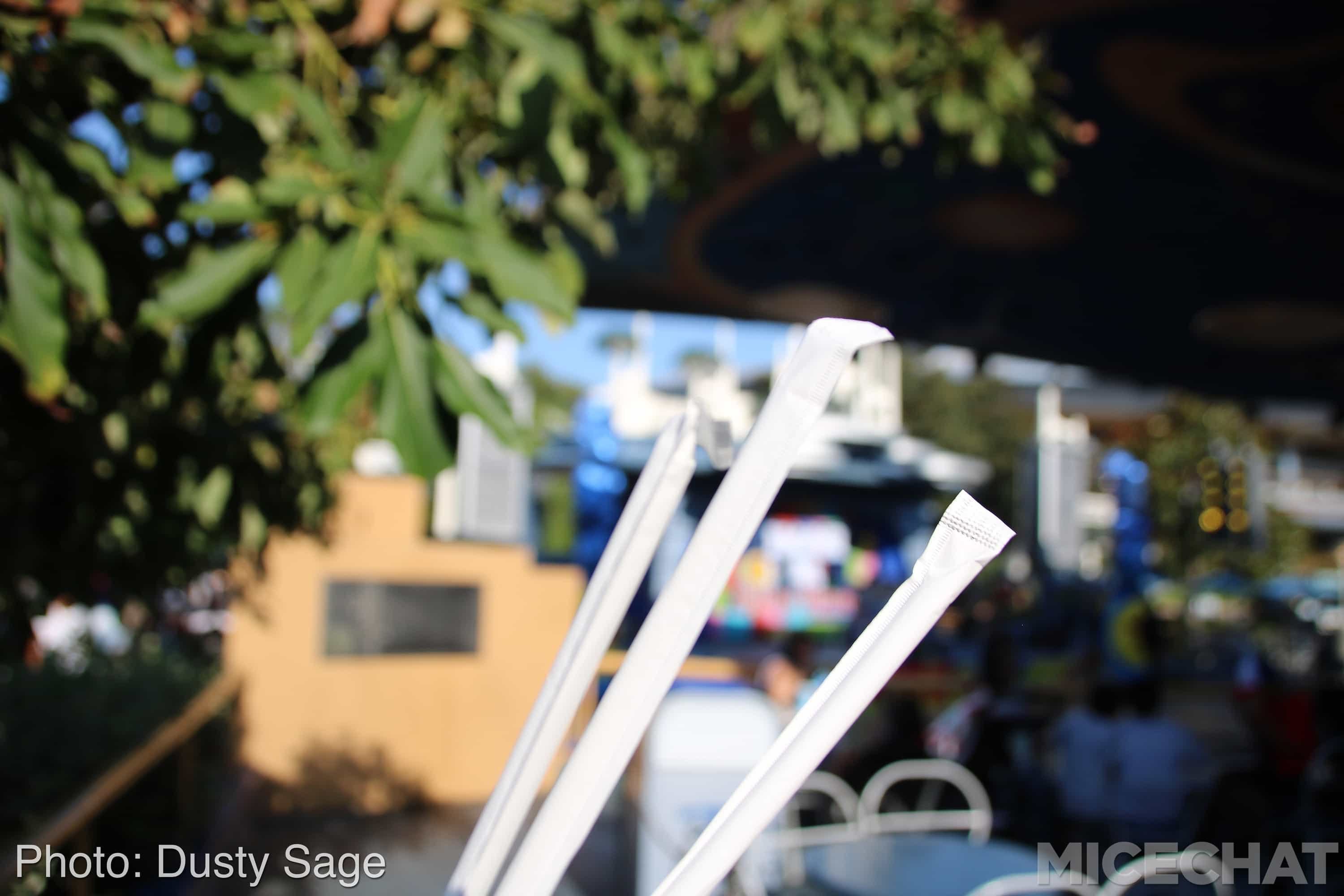 , Disneyland Update – The Last Straw