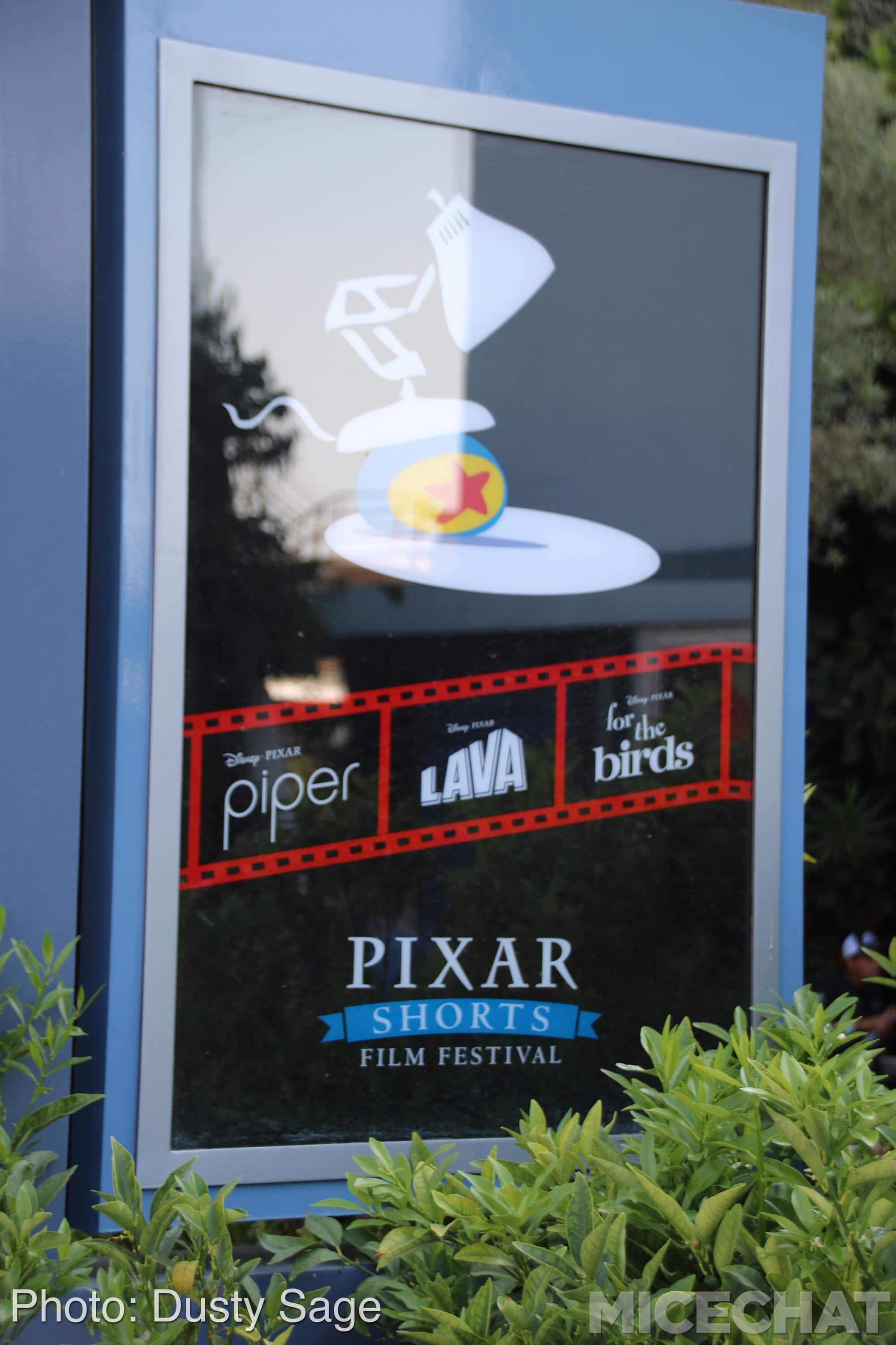 , Disneyland Update – The Last Straw