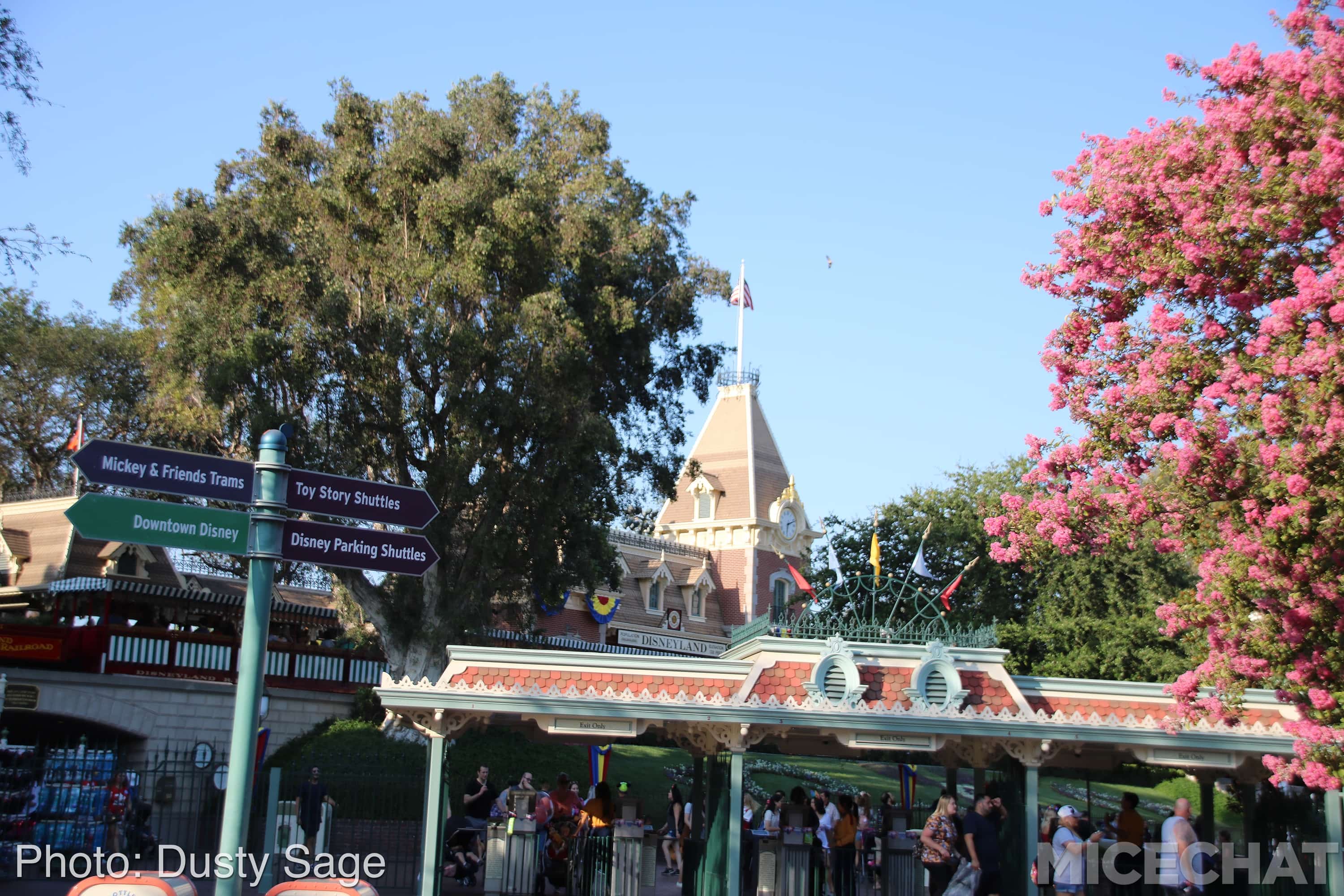 , Disneyland Update – The Last Straw