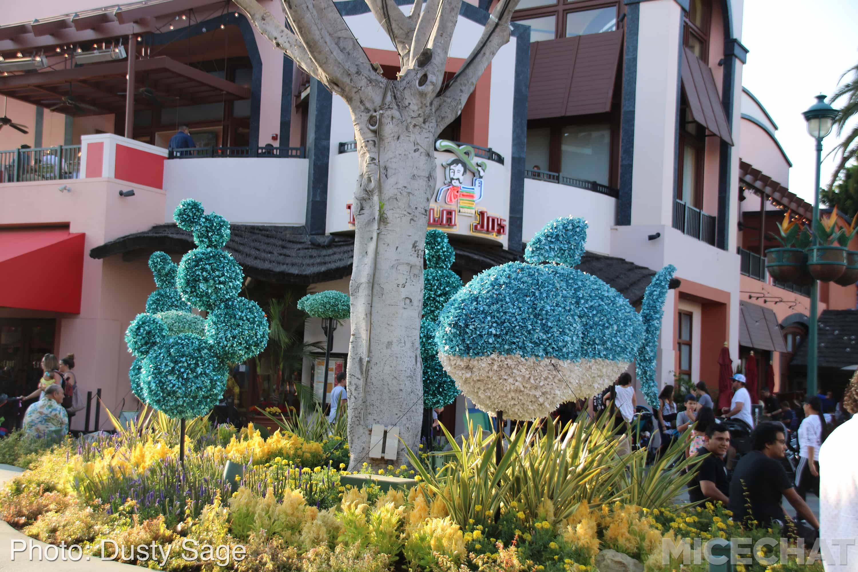 , Disneyland Update – The Last Straw