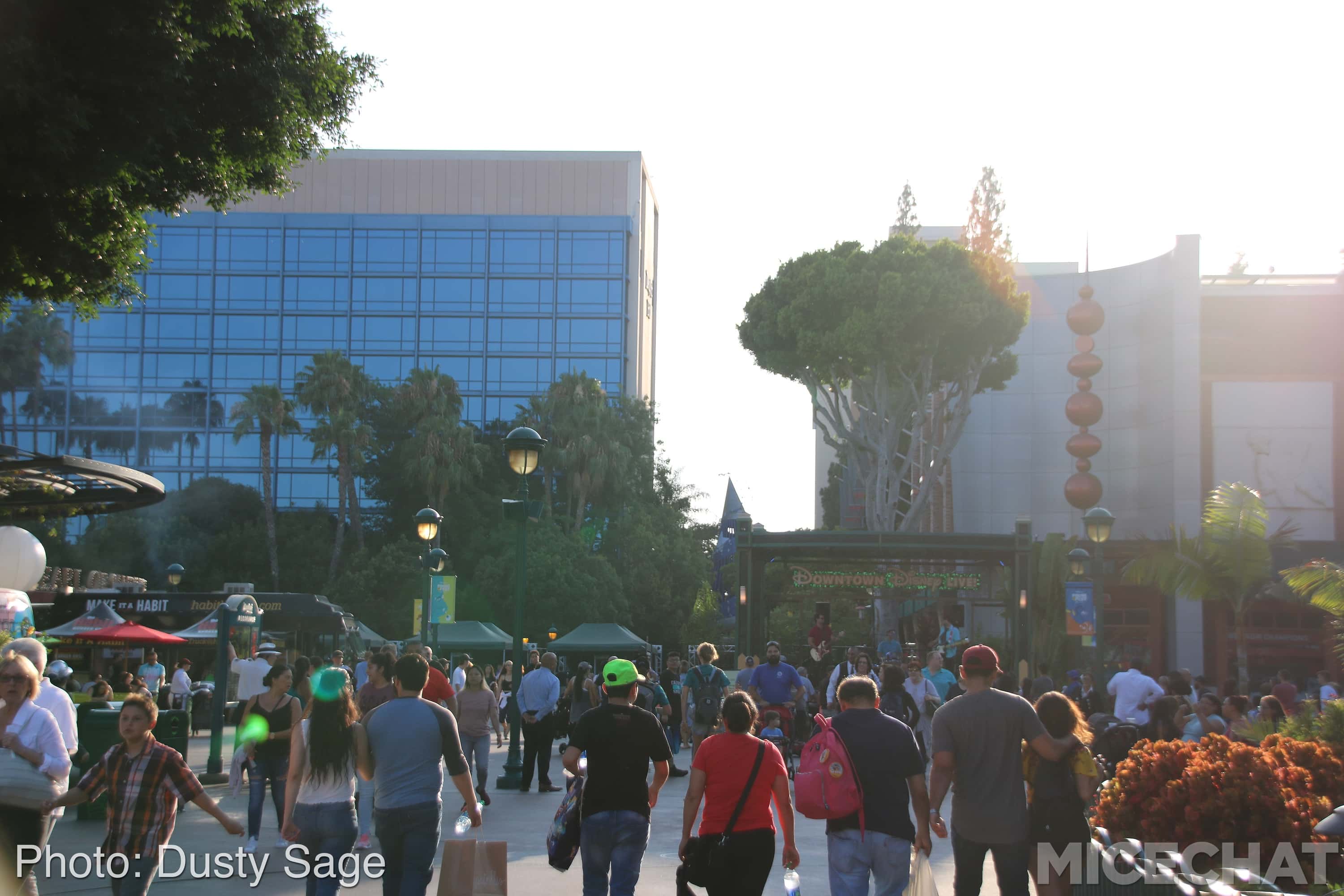 , Disneyland Update – The Last Straw