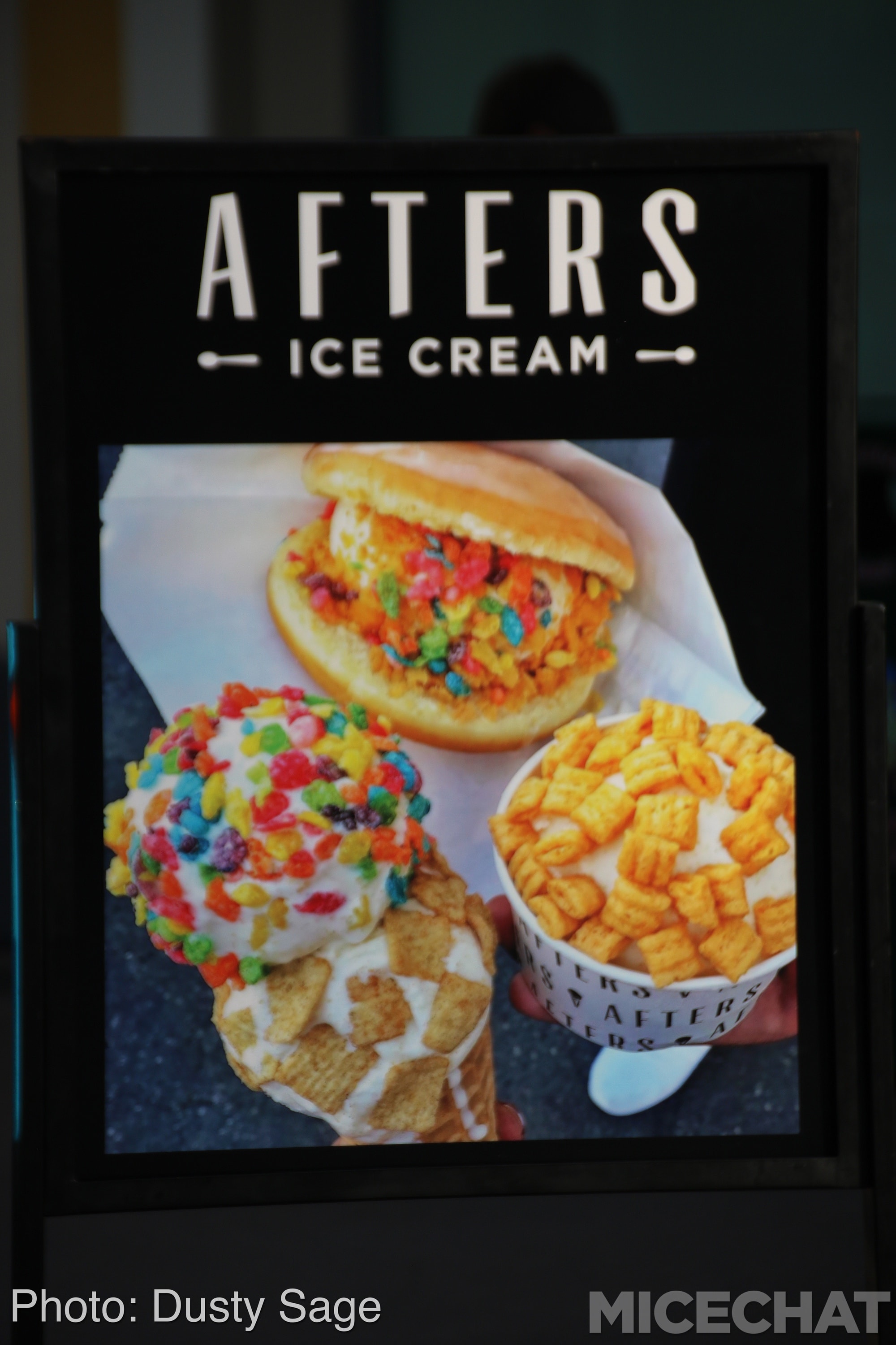 , Disneyland Update – The Last Straw