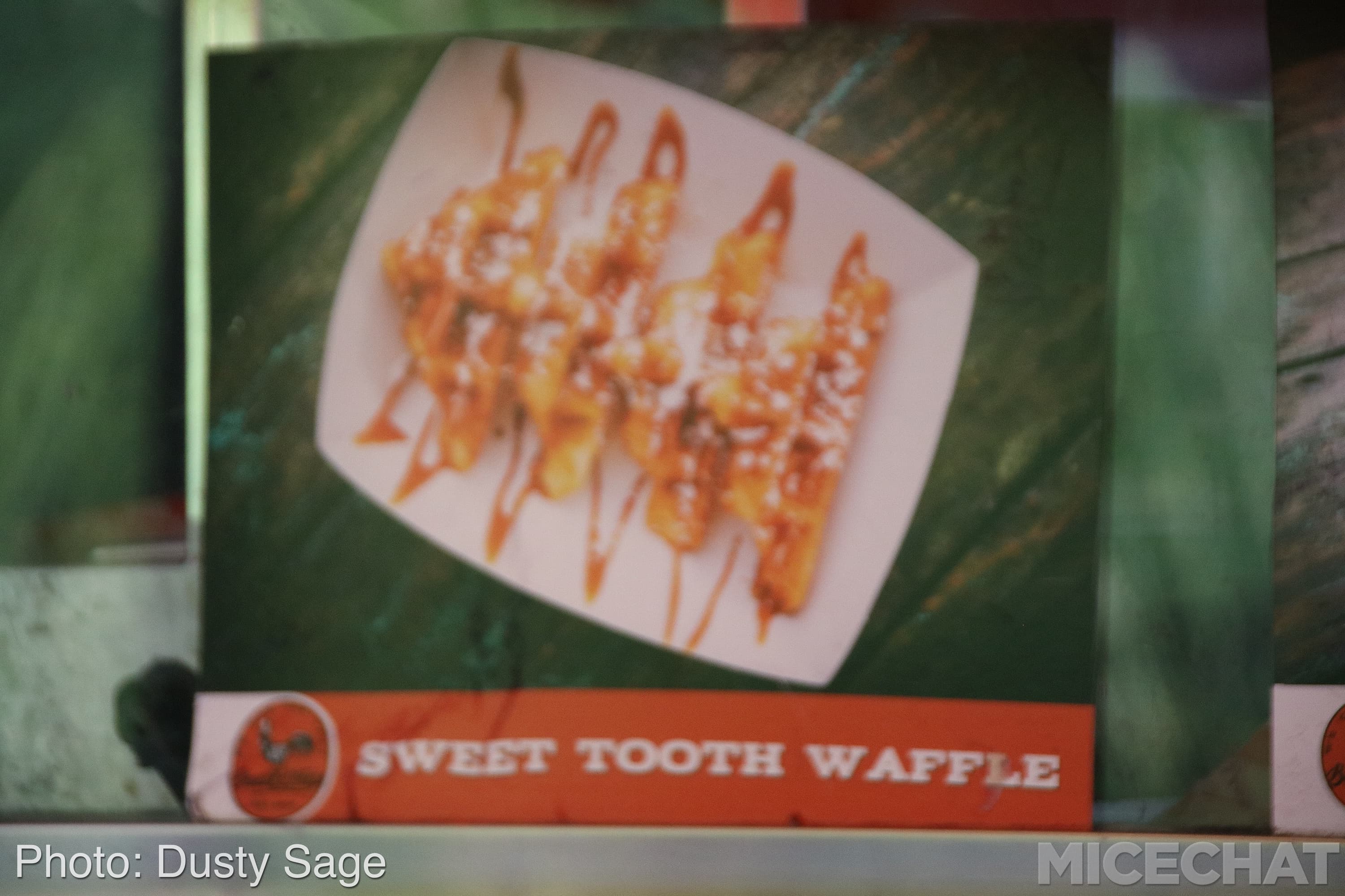 , Disneyland Update – The Last Straw