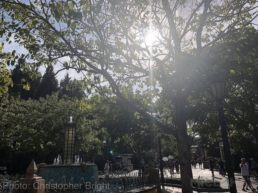 , Disneyland Photo Update: Don’t Sweat It
