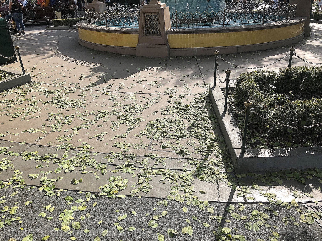 , Disneyland Photo Update: Don’t Sweat It