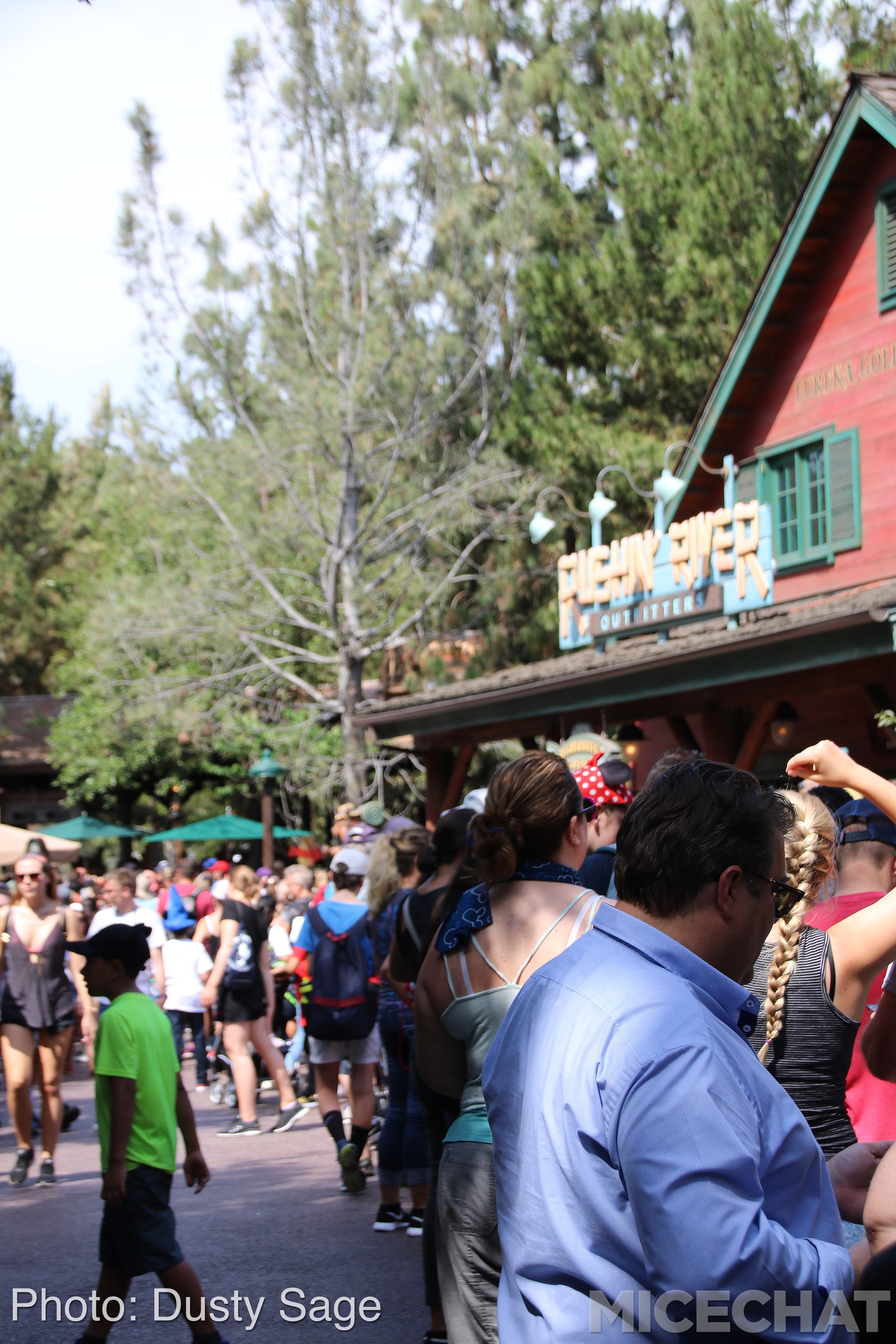, Disneyland Resort Update – I Melt For You