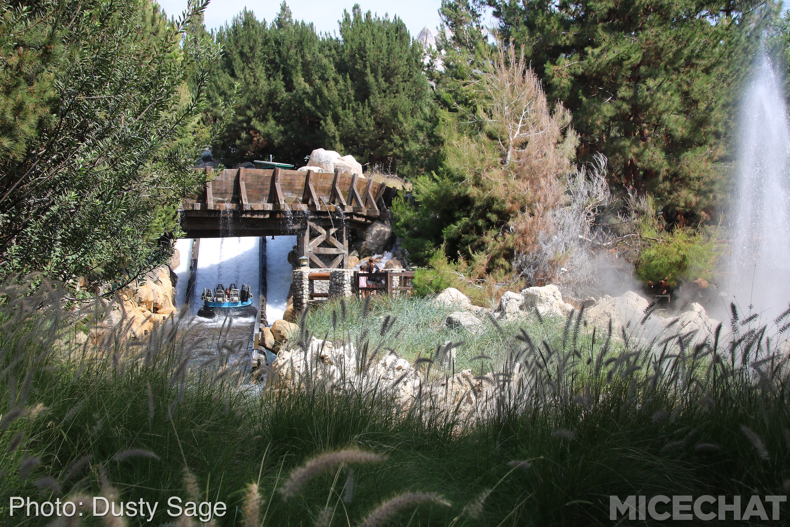 , Disneyland Resort Update – I Melt For You