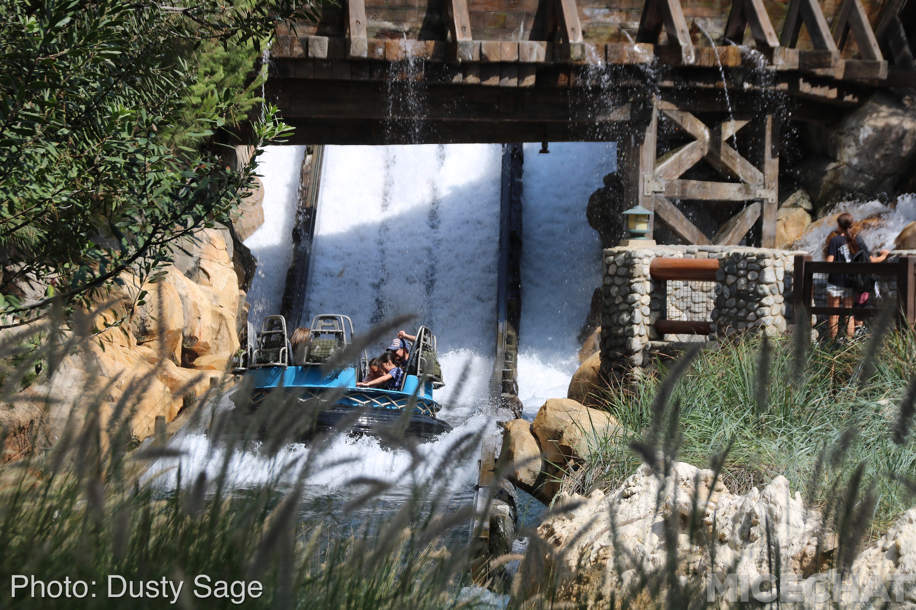 , Disneyland Resort Update – I Melt For You