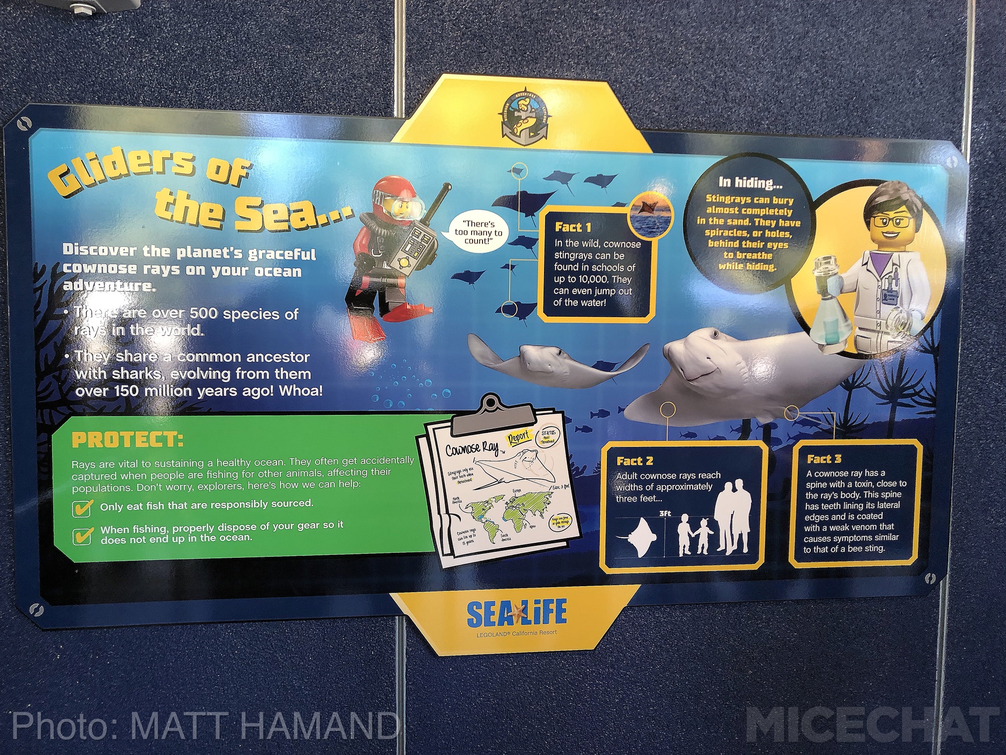 , LEGOLAND California Deep Sea Adventure Sets Sail