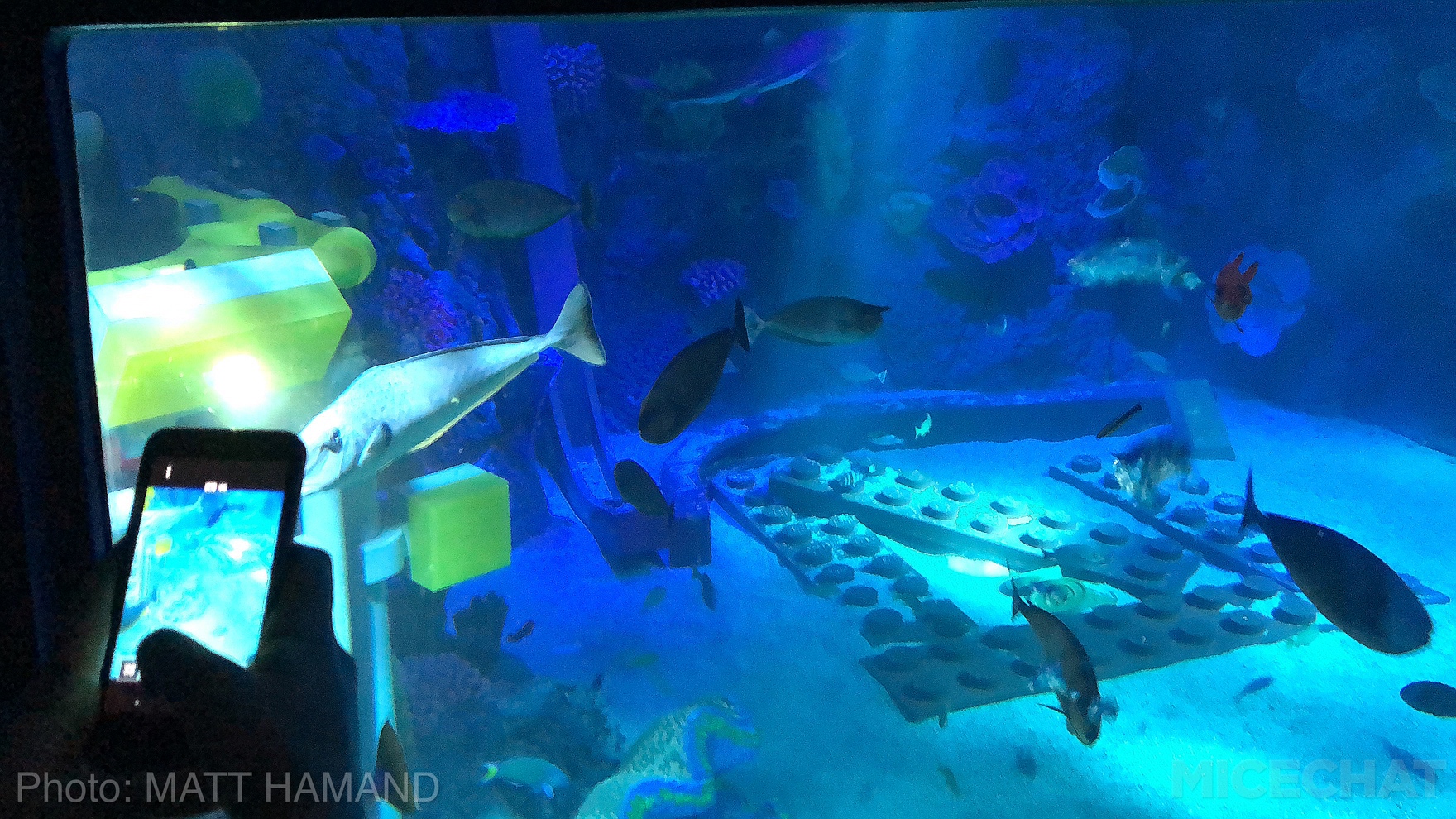 , LEGOLAND California Deep Sea Adventure Sets Sail