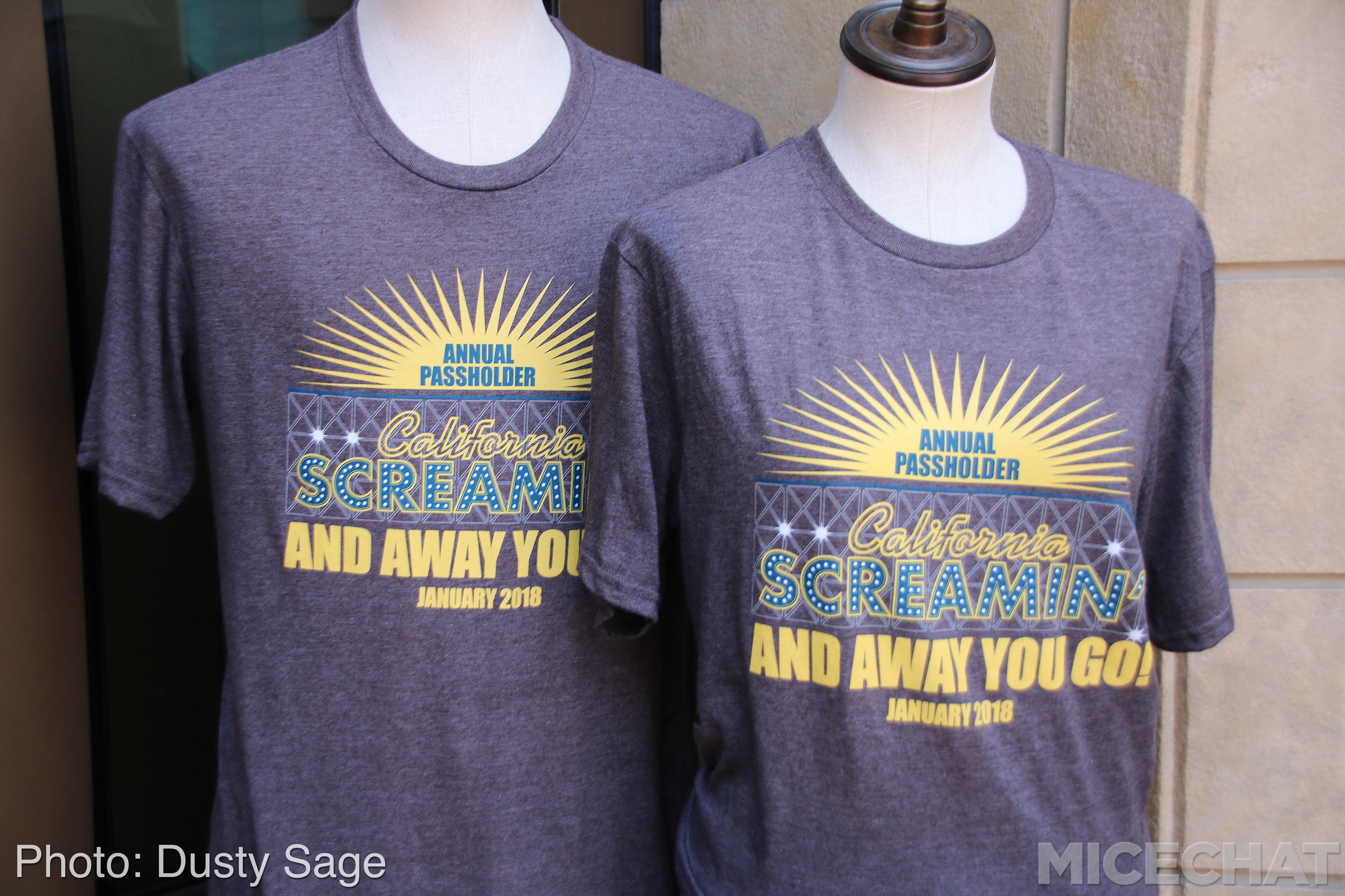 , Disneyland Resort Update – I Melt For You