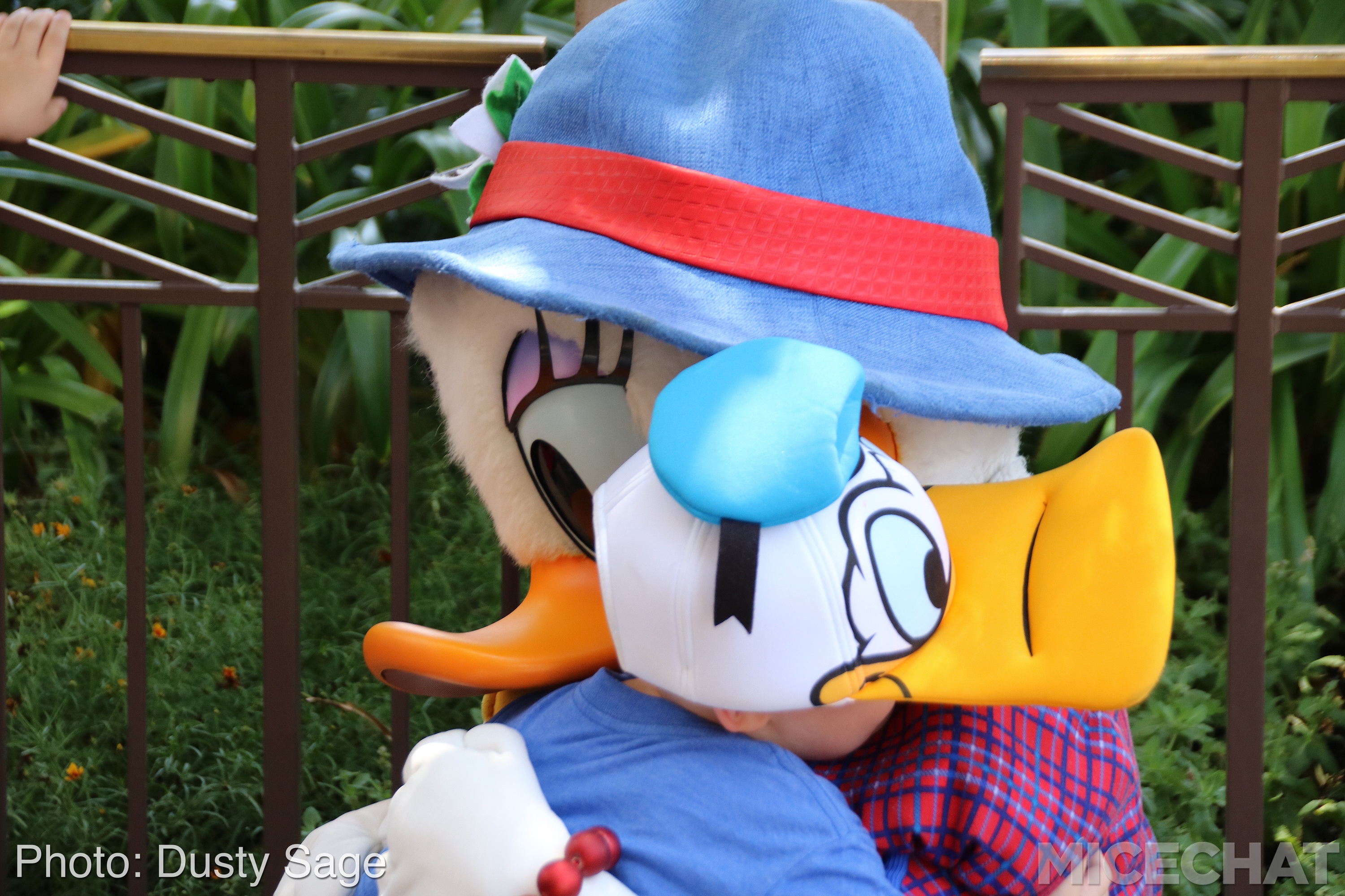, Disneyland Resort Update – I Melt For You