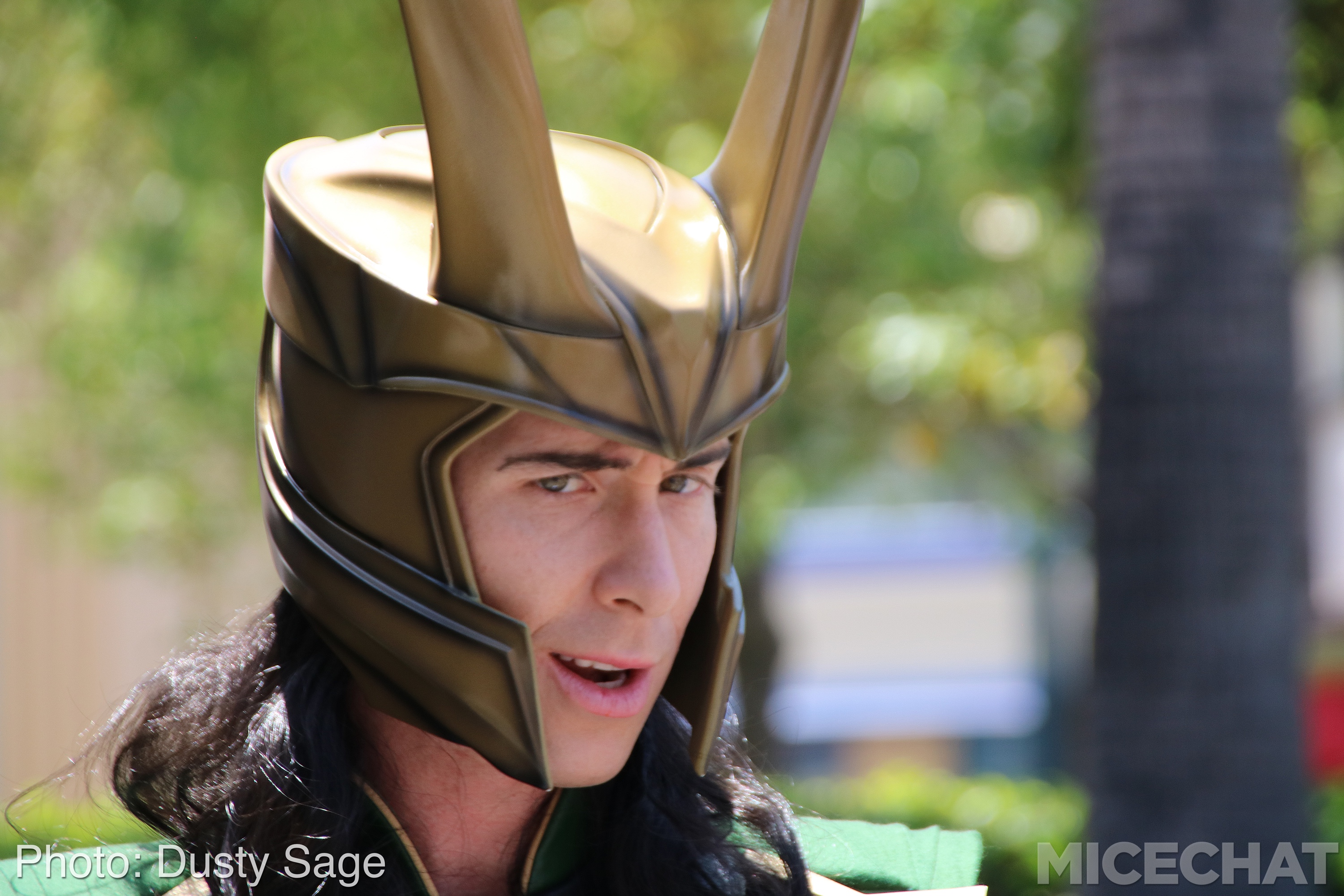 , Disneyland Resort Update – I Melt For You