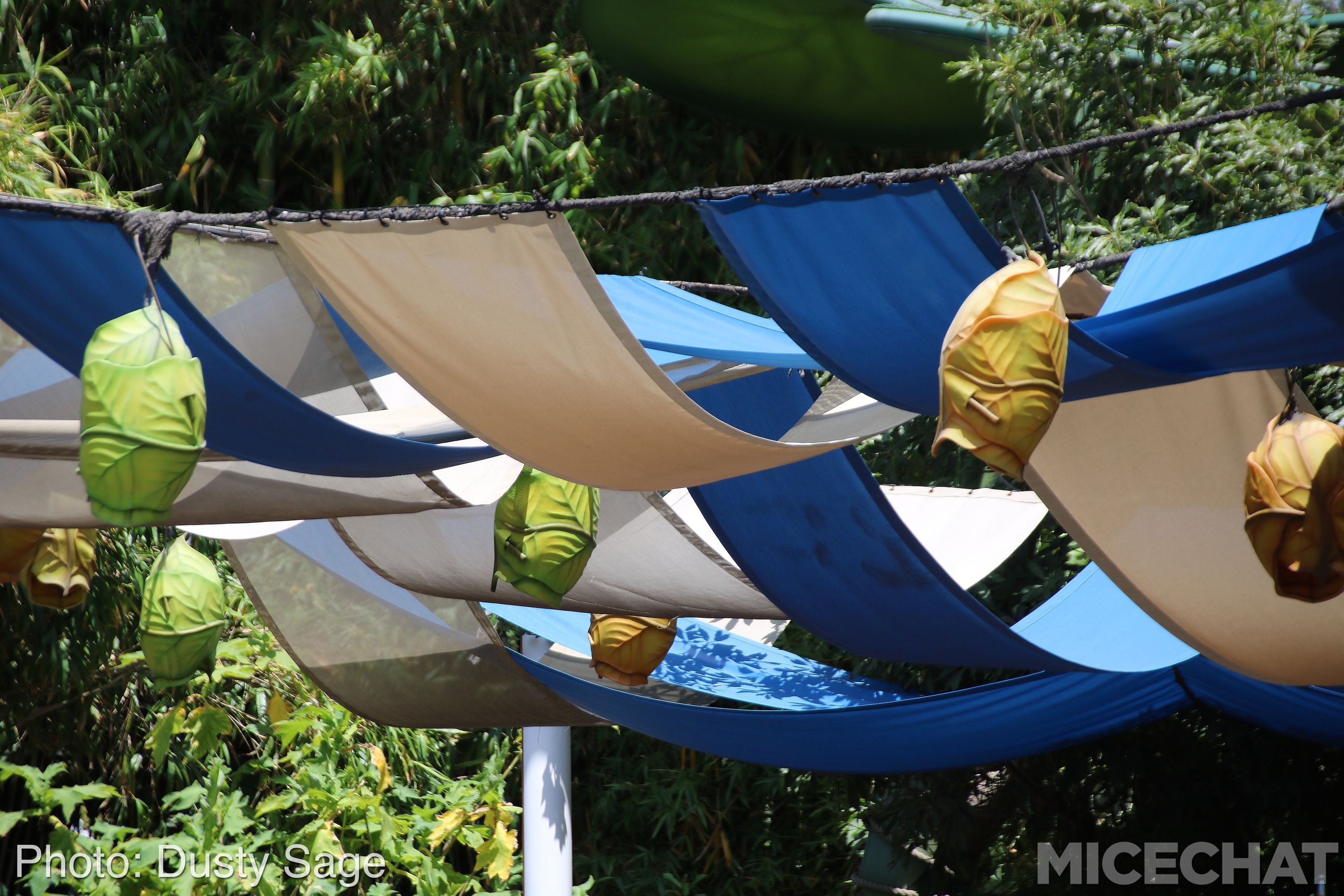, Disneyland Resort Update – I Melt For You