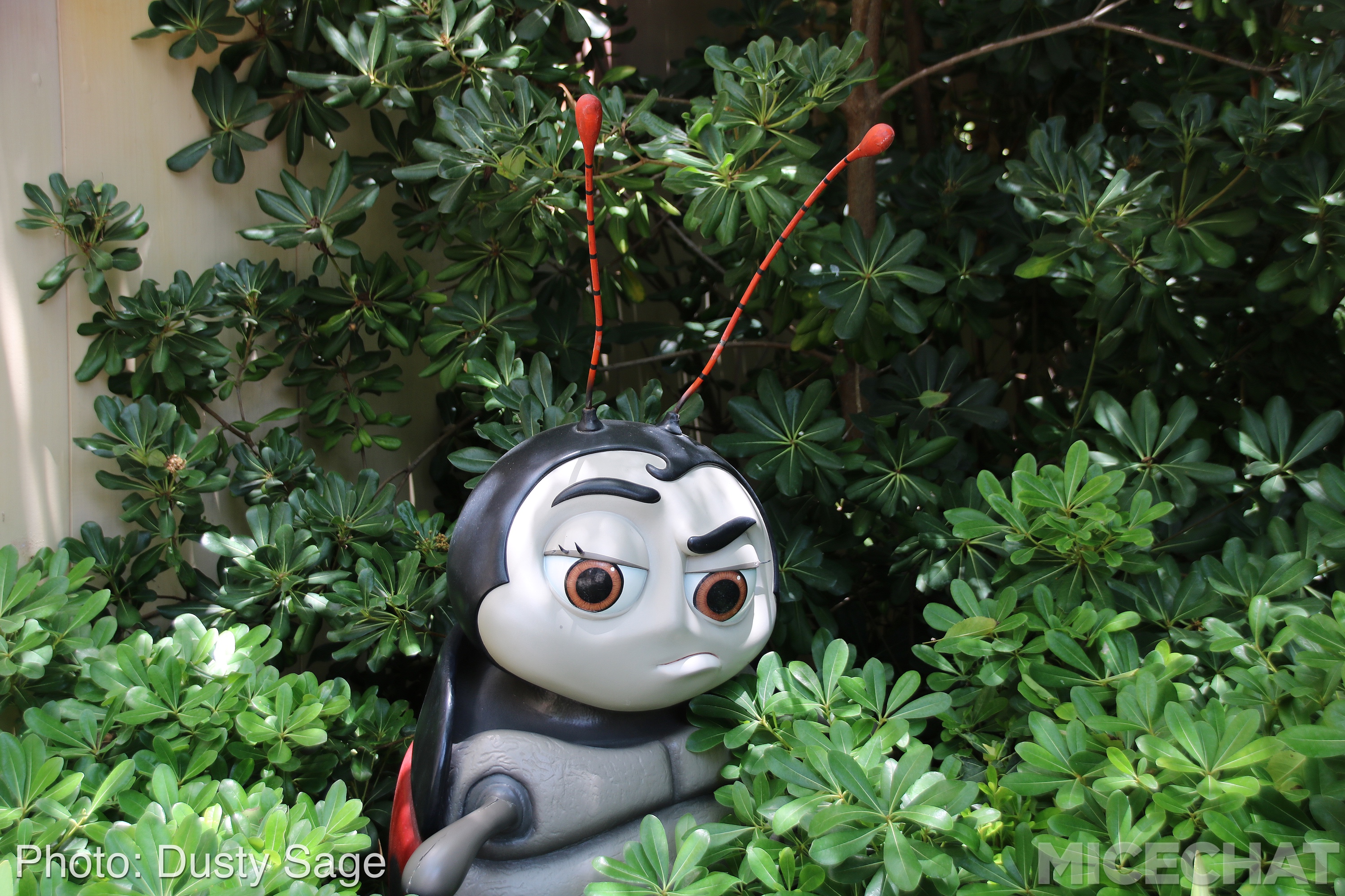 , Disneyland Resort Update – I Melt For You