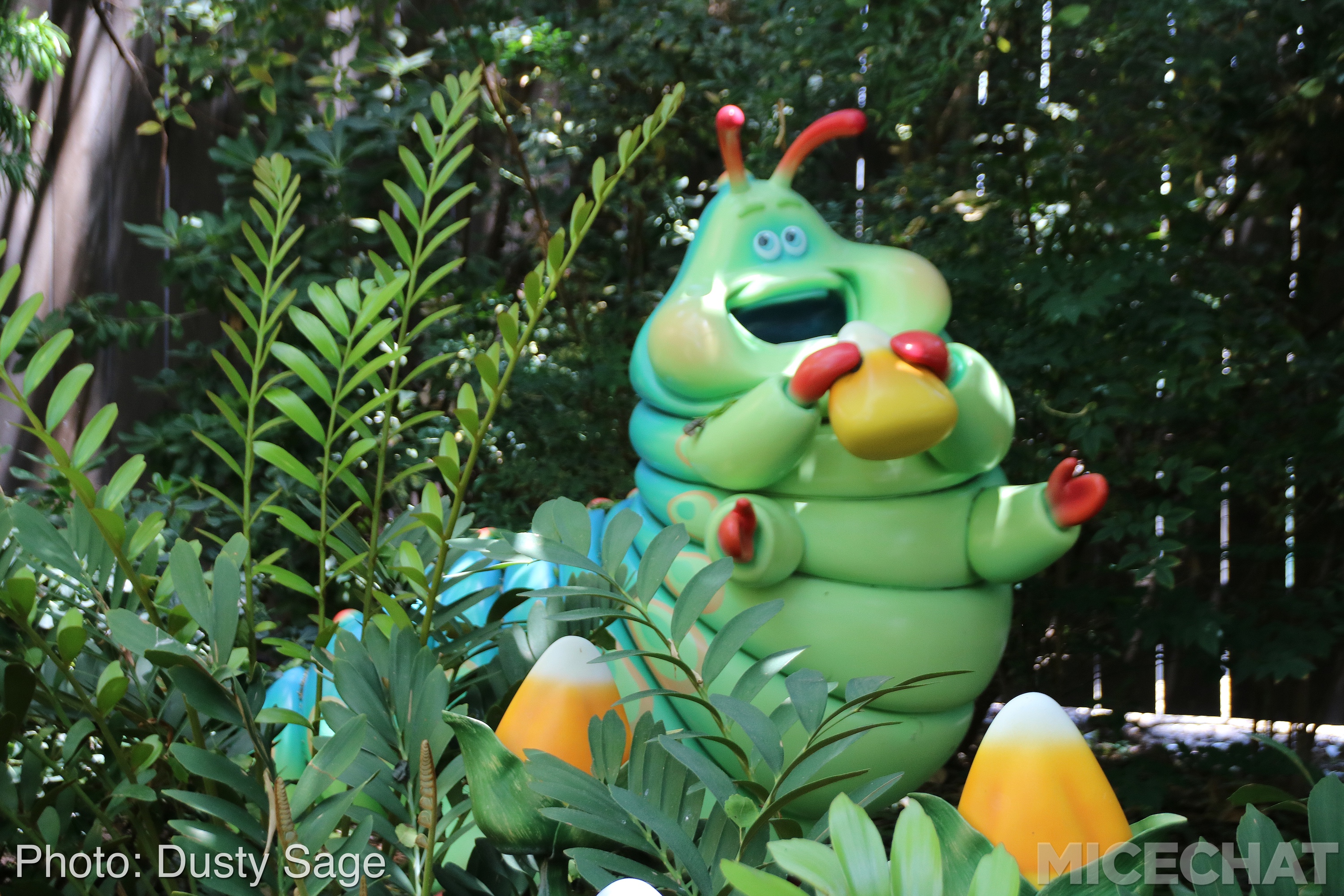 , Disneyland Resort Update – I Melt For You