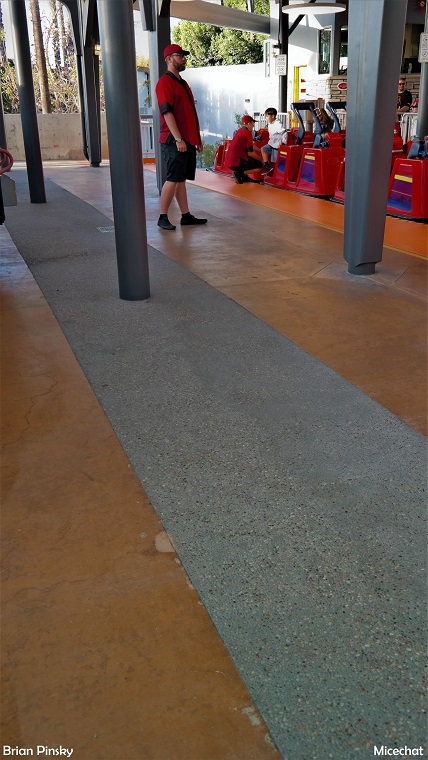 , Disneyland Resort Photo Update: Problems in Paradise