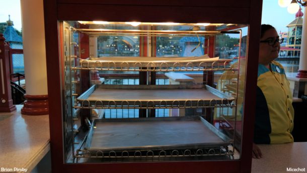 , Disneyland Resort Photo Update: Problems in Paradise