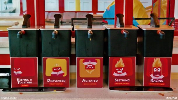 , Disneyland Resort Photo Update: Problems in Paradise