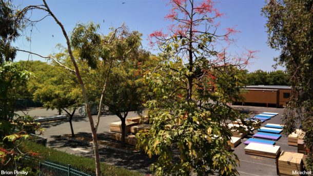 , Disneyland Resort Photo Update: Problems in Paradise
