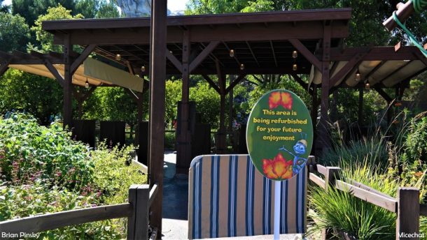 , Disneyland Resort Photo Update: Problems in Paradise