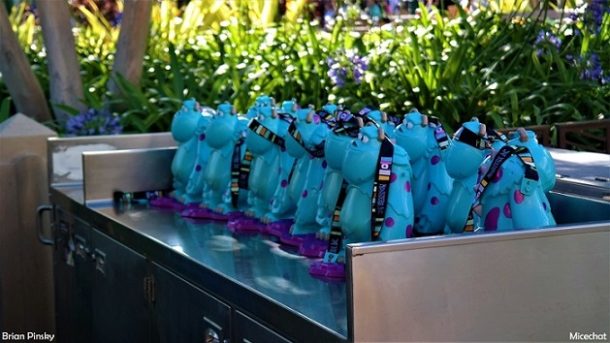 , Disneyland Resort Photo Update: Problems in Paradise