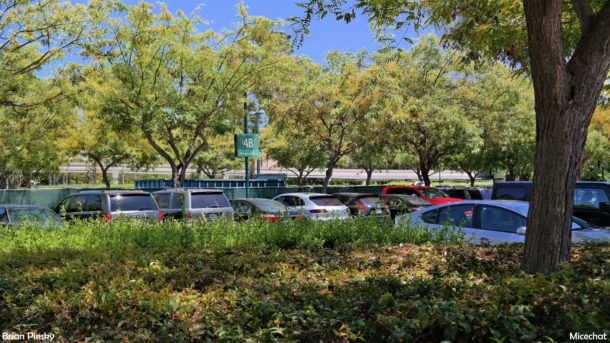 , Disneyland Resort Photo Update: Problems in Paradise