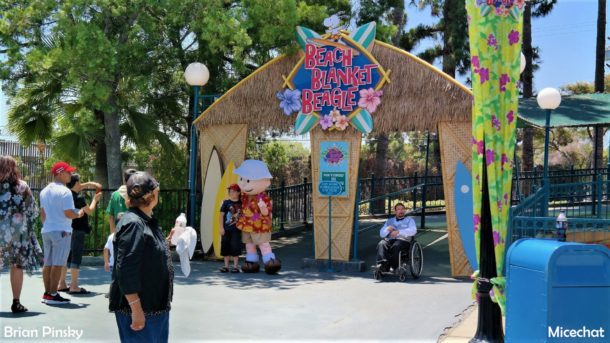 , Knott’s Berry Farm Update – The Beagle Days of Summer