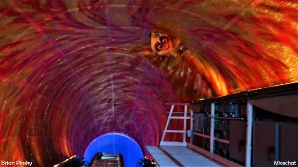 , Disneyland Resort Photo Update: Problems in Paradise