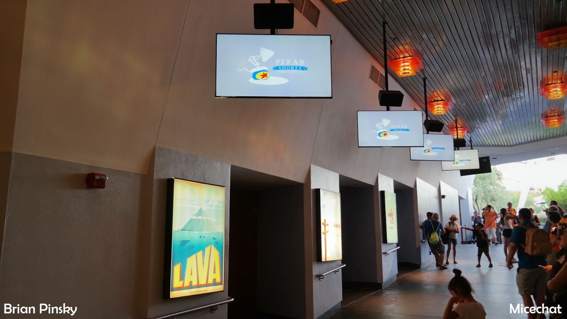 , Disneyland Update – The Last Straw