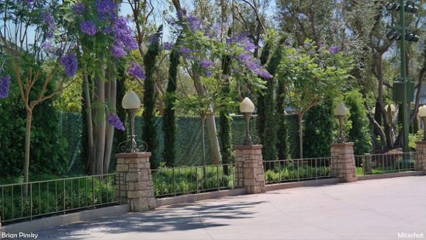 , Disneyland Photo Update: Don’t Sweat It