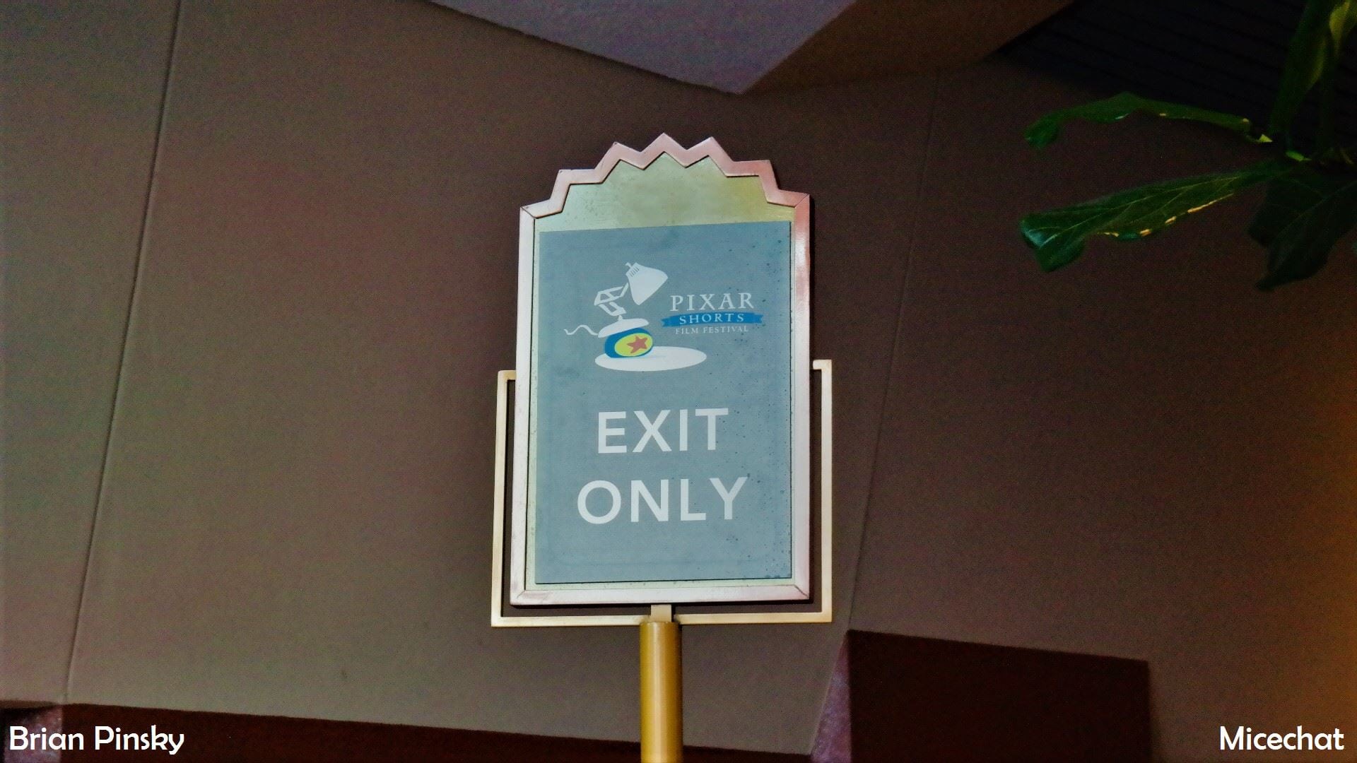 , Disneyland Update – The Last Straw