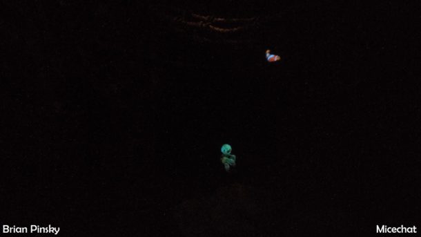 , Disneyland Photo Update: Don’t Sweat It