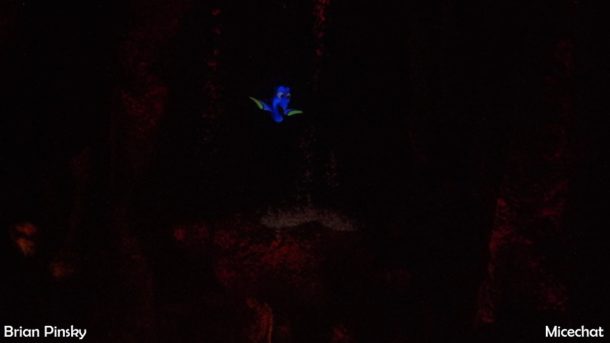 , Disneyland Photo Update: Don’t Sweat It