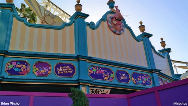 , Disneyland Resort Photo Update: Problems in Paradise