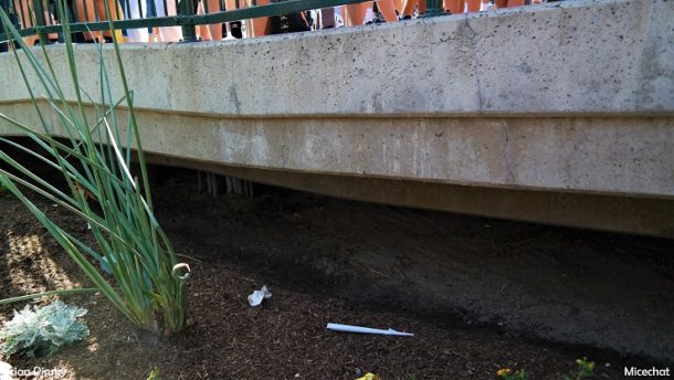 , Disneyland Resort Photo Update: Problems in Paradise