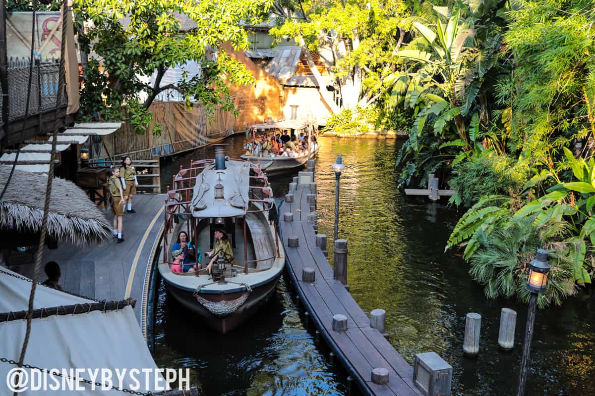 , Disneyland Update – A Million Little Pieces