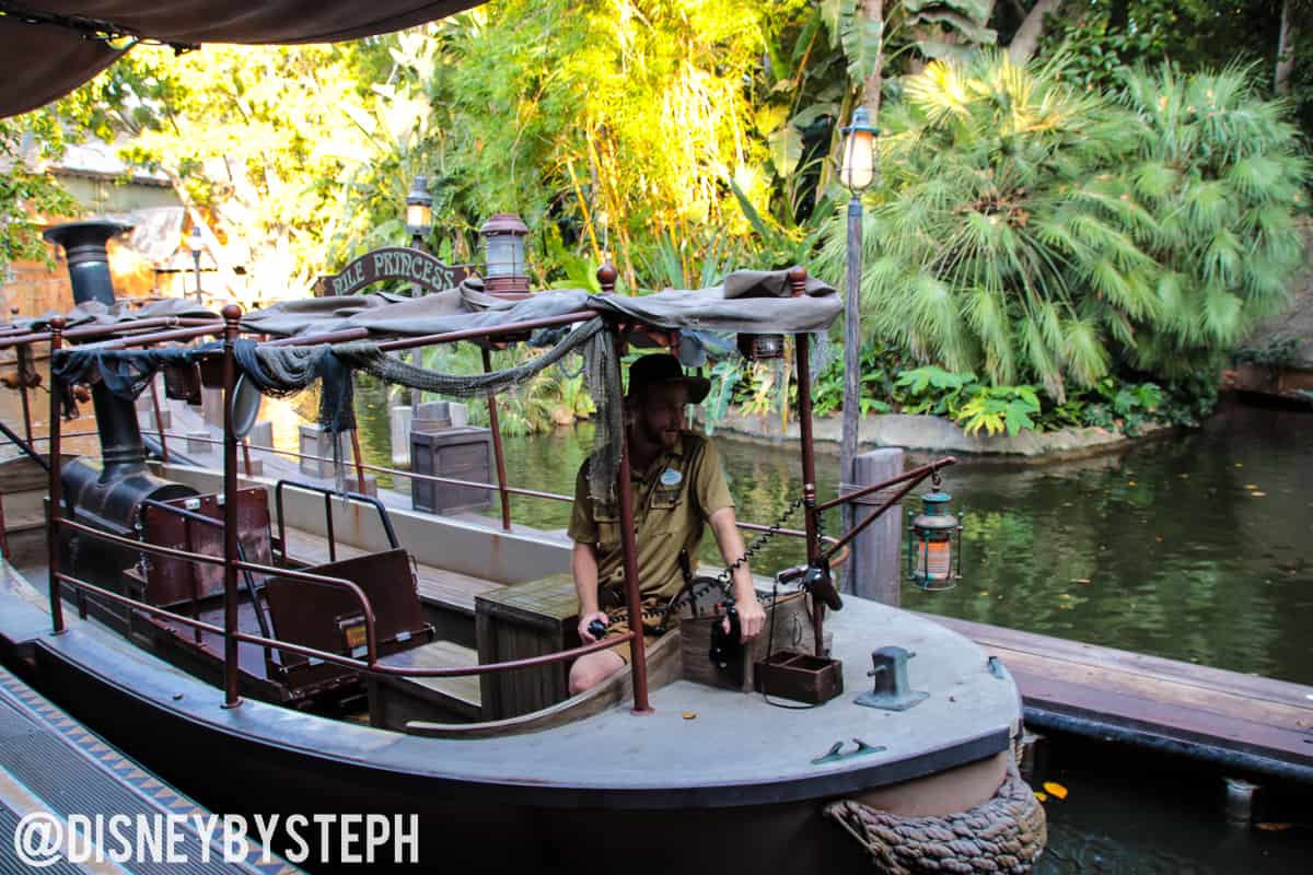 , Disneyland Update – A Million Little Pieces